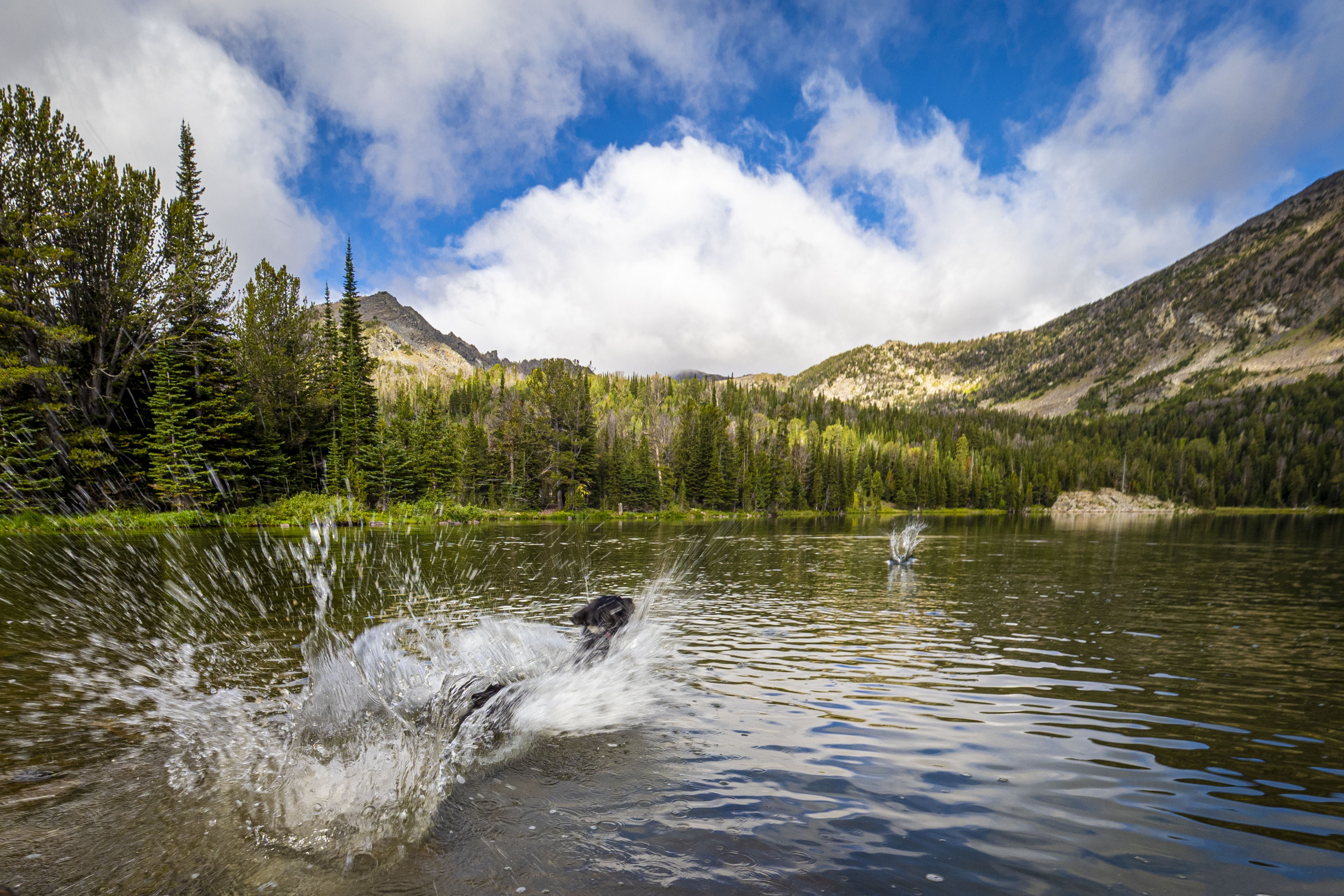 Free download high resolution image - free image free photo free stock image public domain picture -Beaverhead Deerlodge National Forest in Montana