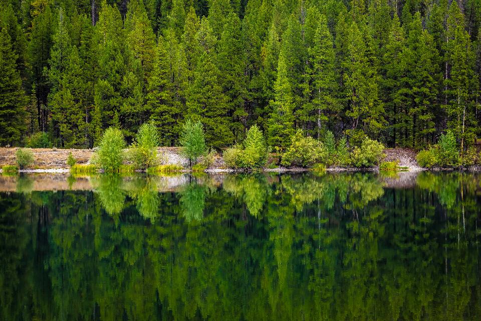 Free download high resolution image - free image free photo free stock image public domain picture  Beaverhead Deerlodge National Forest in Montana