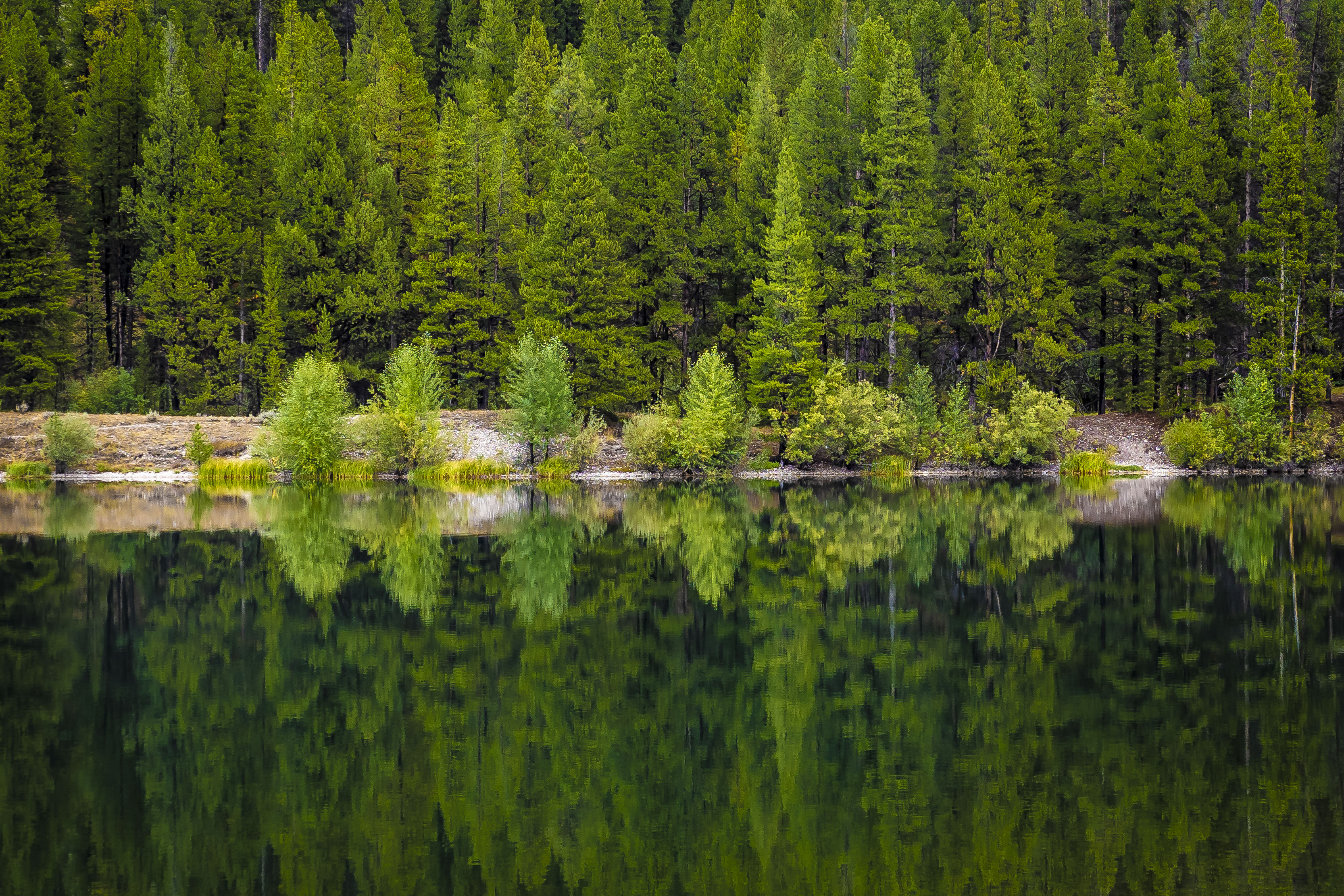 Free download high resolution image - free image free photo free stock image public domain picture -Beaverhead Deerlodge National Forest in Montana