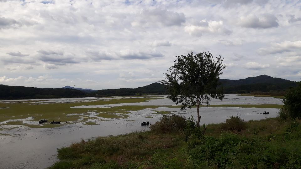 Free download high resolution image - free image free photo free stock image public domain picture  Upo Wetland in Changnyeong Korea