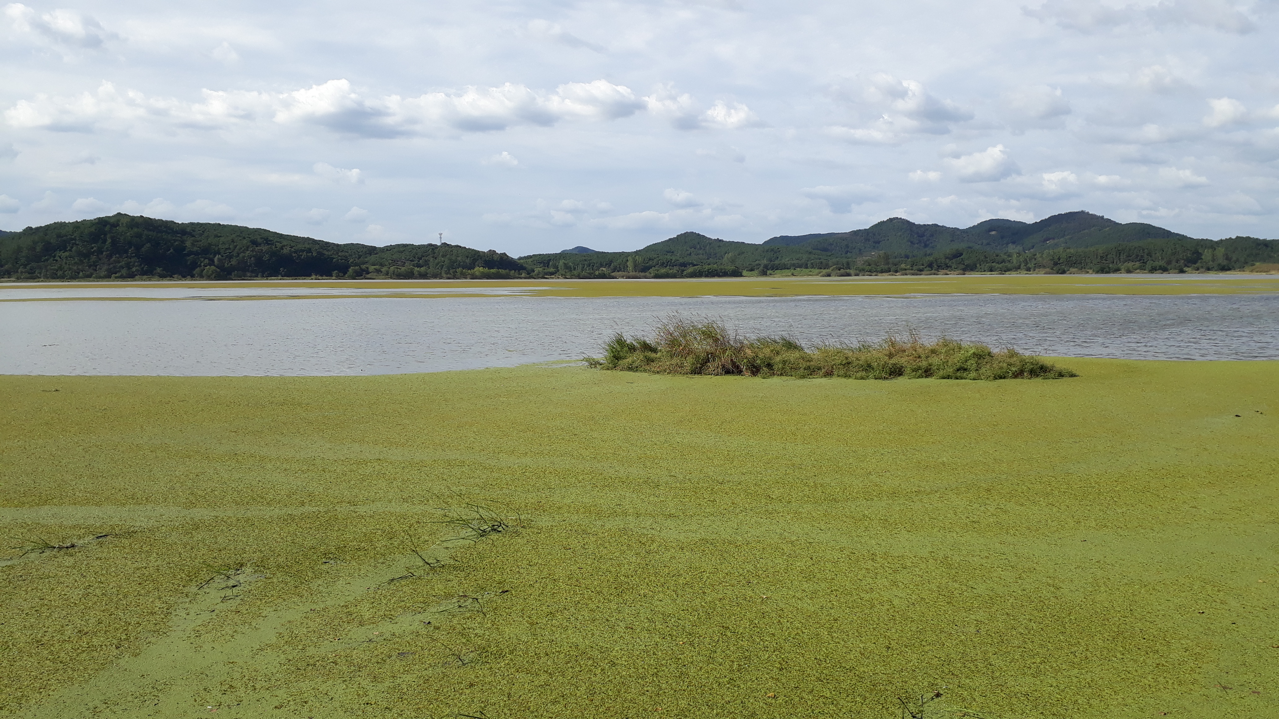 Free download high resolution image - free image free photo free stock image public domain picture -Upo Wetland in Changnyeong Korea