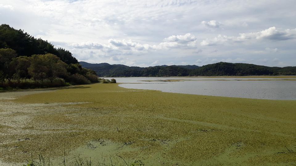 Free download high resolution image - free image free photo free stock image public domain picture  Upo Wetland in Changnyeong Korea