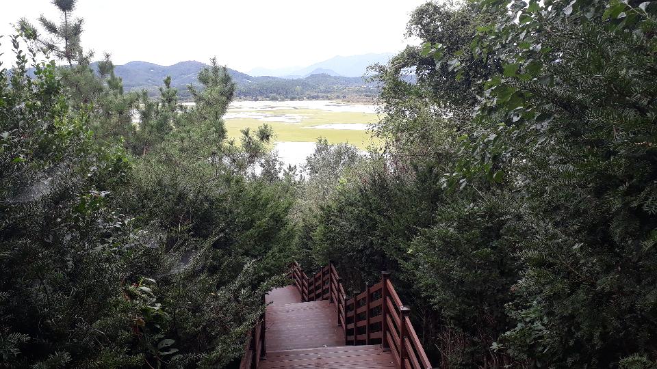 Free download high resolution image - free image free photo free stock image public domain picture  Upo Wetland in Changnyeong Korea