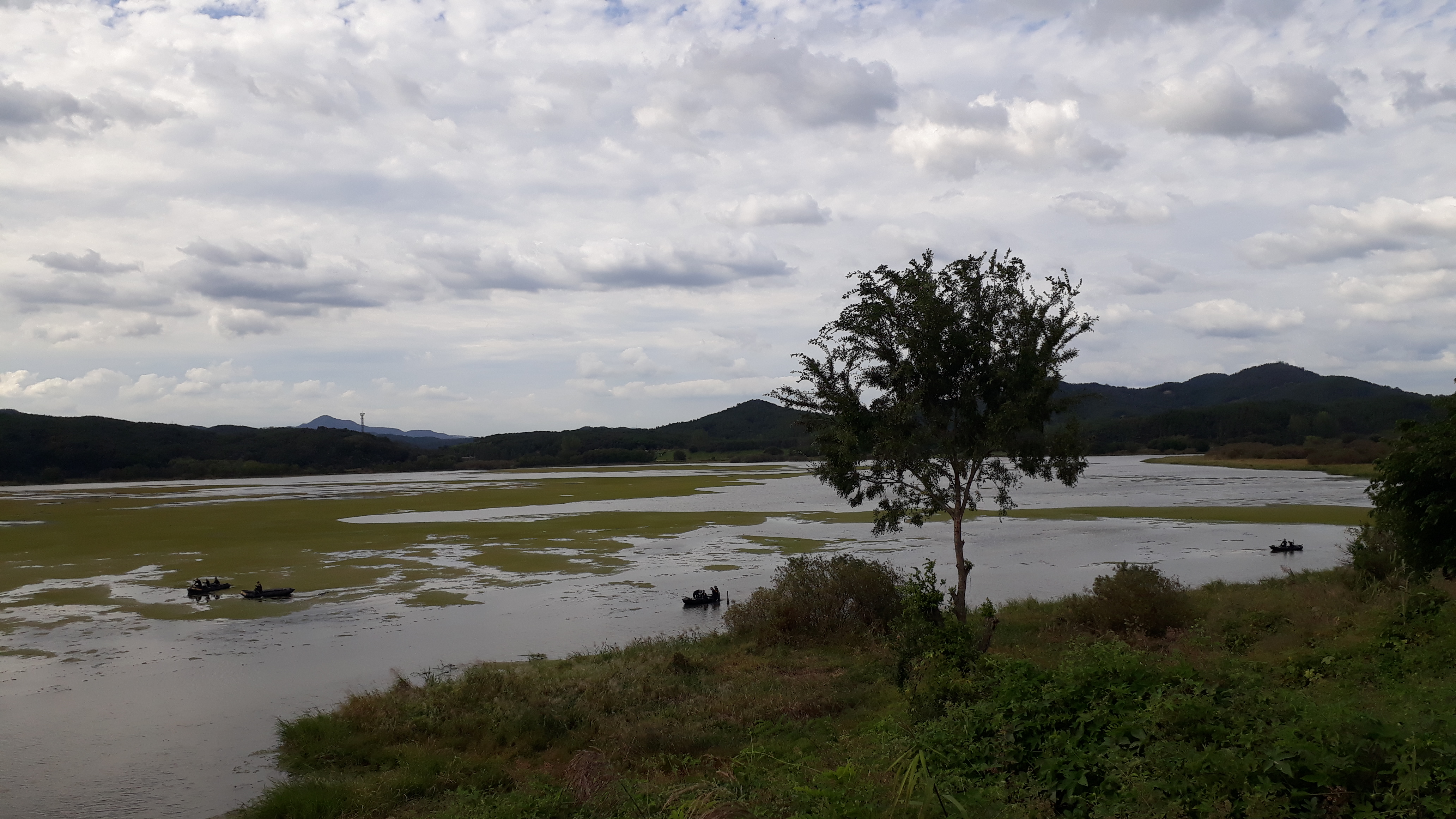 Free download high resolution image - free image free photo free stock image public domain picture -Upo Wetland in Changnyeong Korea