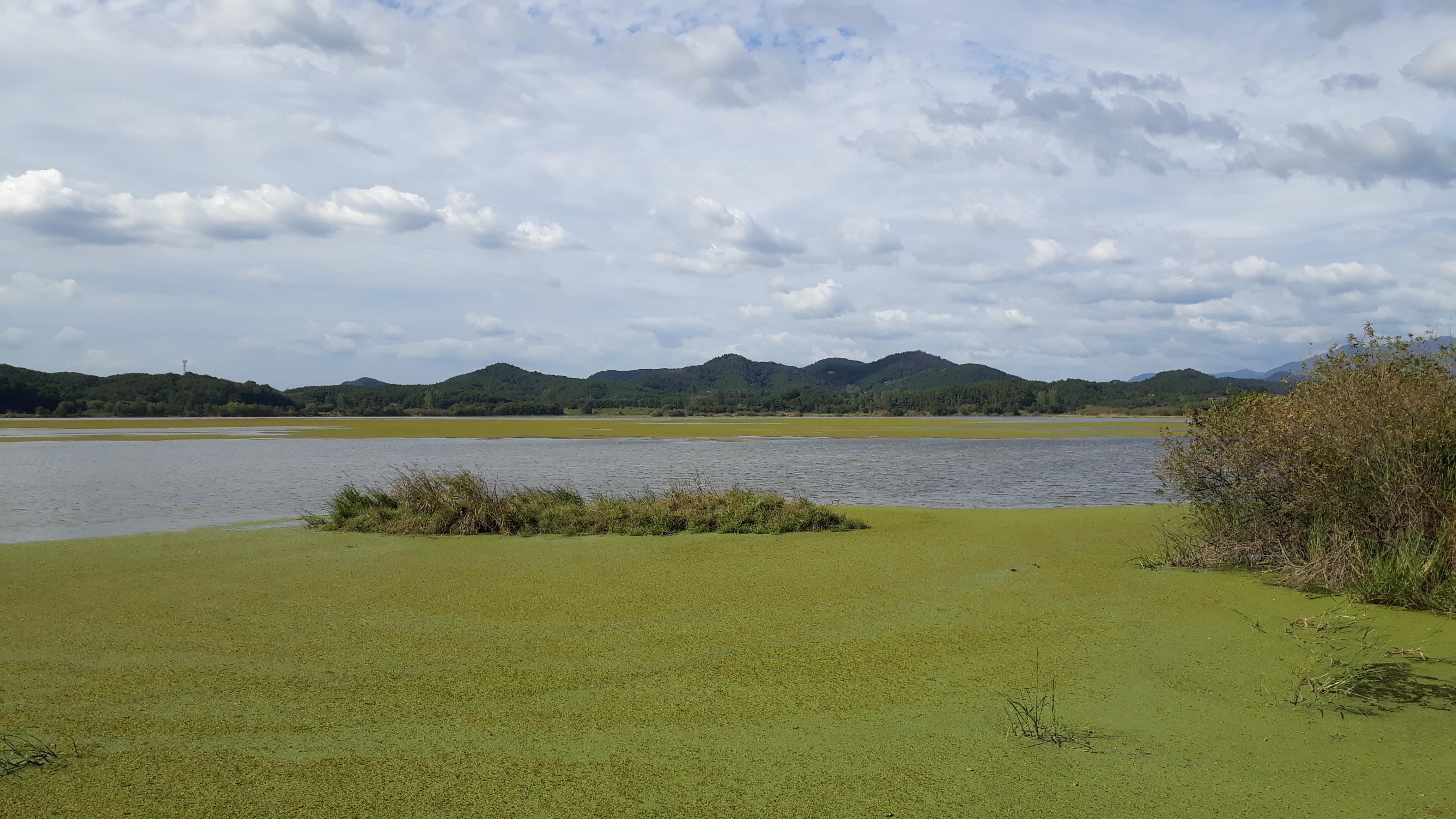 Free download high resolution image - free image free photo free stock image public domain picture -Upo Wetland in Changnyeong Korea