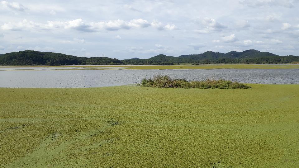 Free download high resolution image - free image free photo free stock image public domain picture  Upo Wetland in Changnyeong Korea