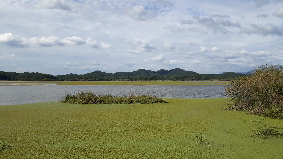 Free download high resolution image - free image free photo free stock image public domain picture  Upo Wetland in Changnyeong Korea