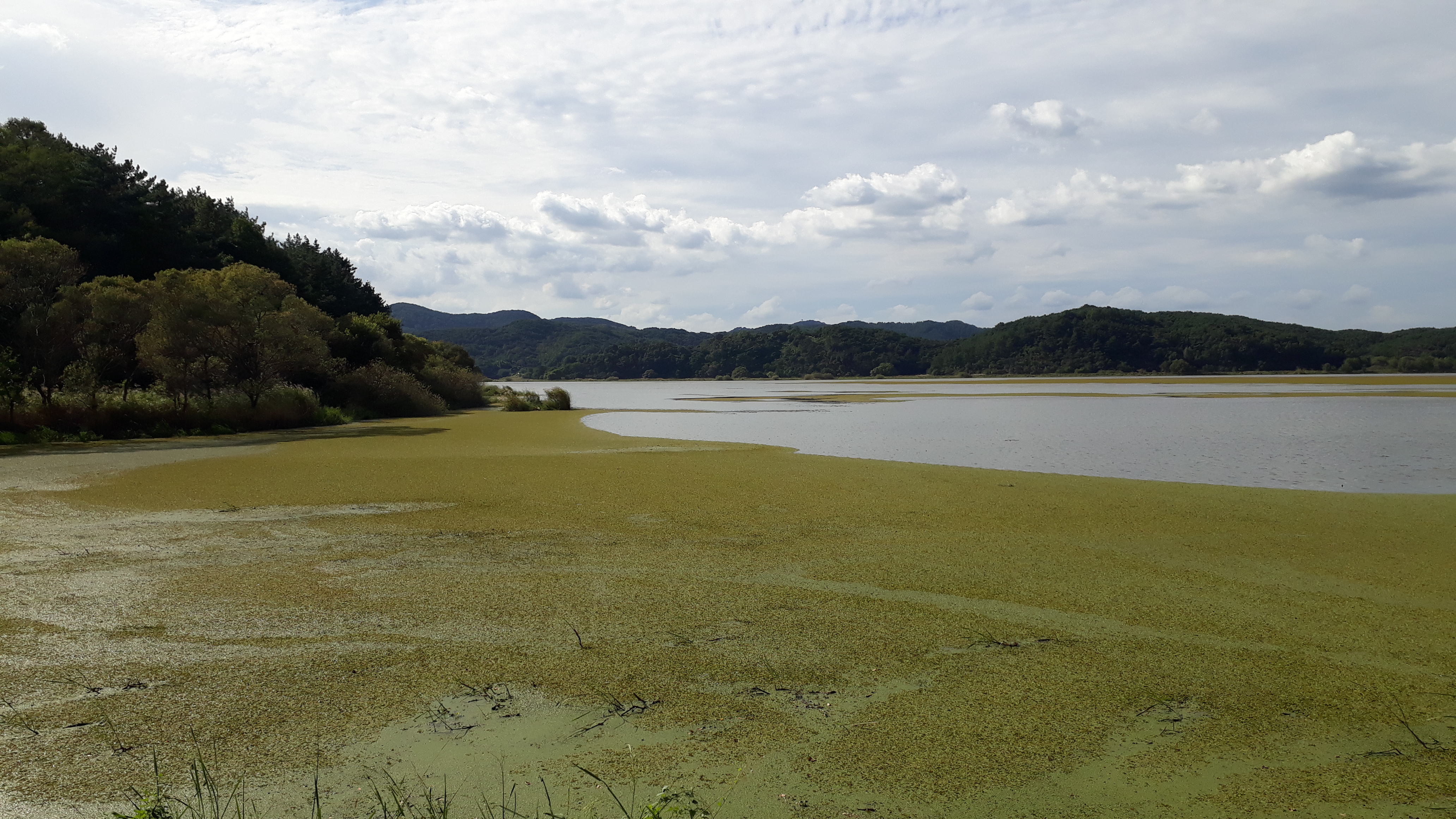 Free download high resolution image - free image free photo free stock image public domain picture -Upo Wetland in Changnyeong Korea