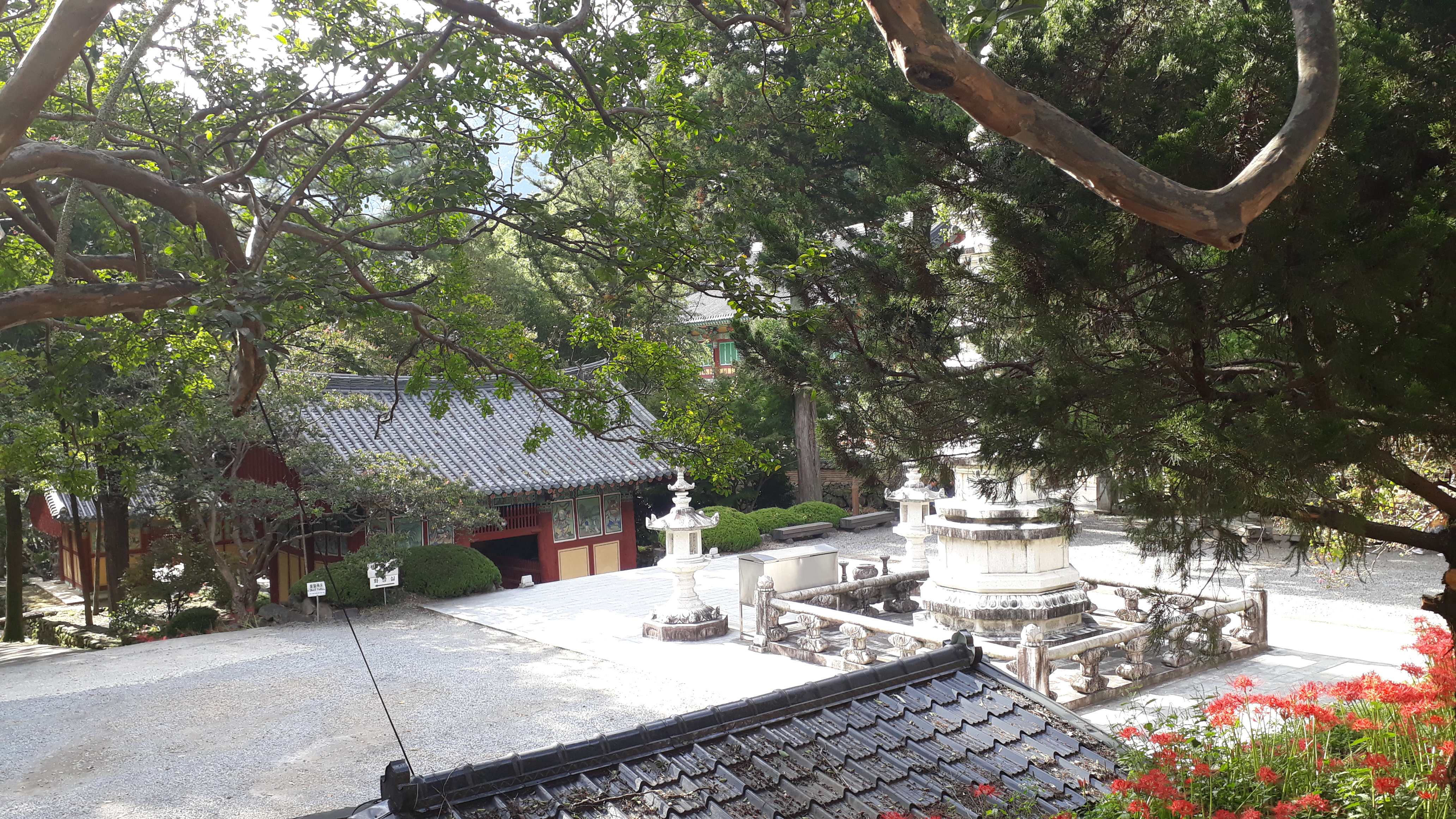 Free download high resolution image - free image free photo free stock image public domain picture -Ssanggyesa Temple, Hadong South Korea