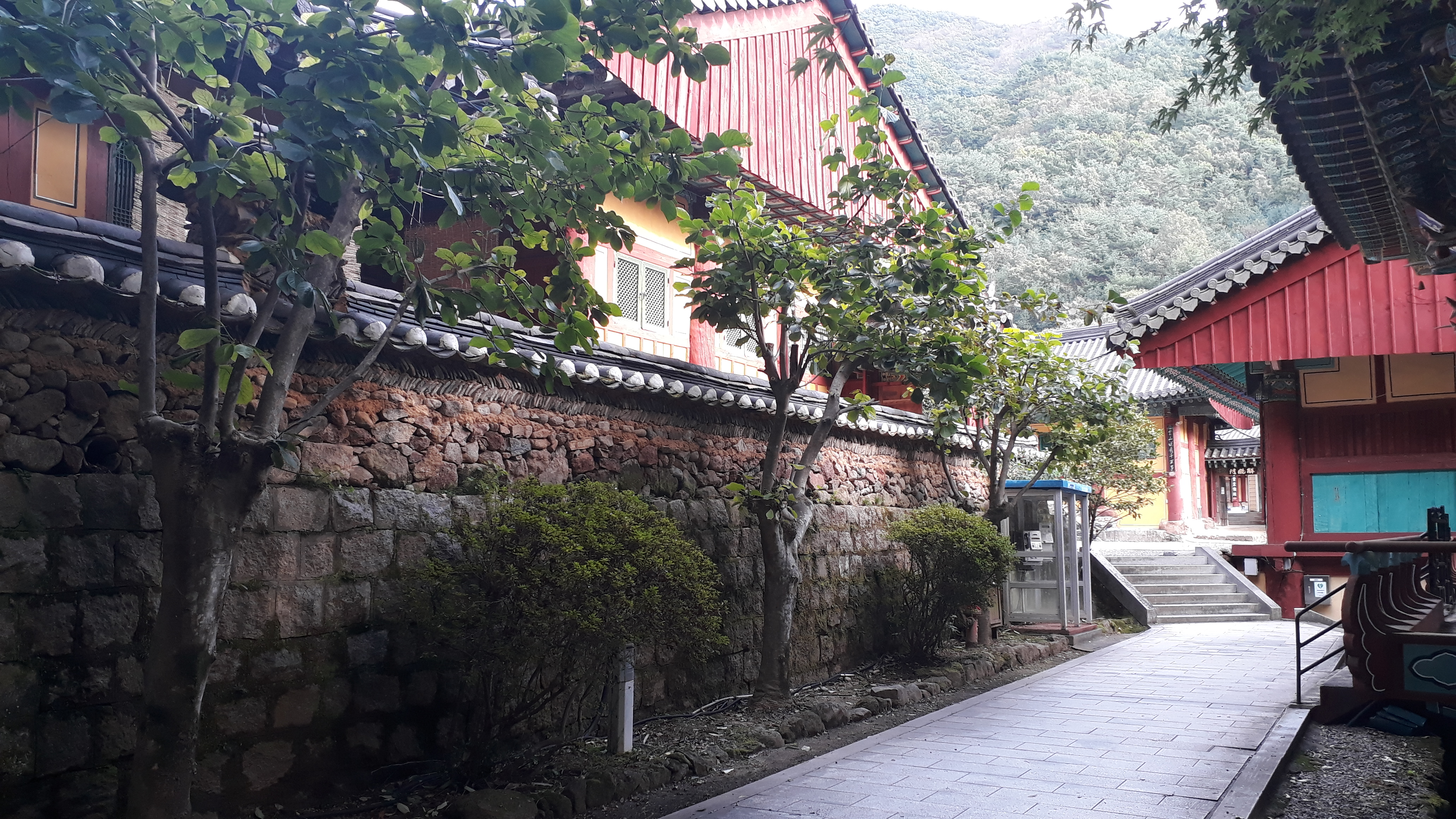 Free download high resolution image - free image free photo free stock image public domain picture -Ssanggyesa Temple, Hadong South Korea