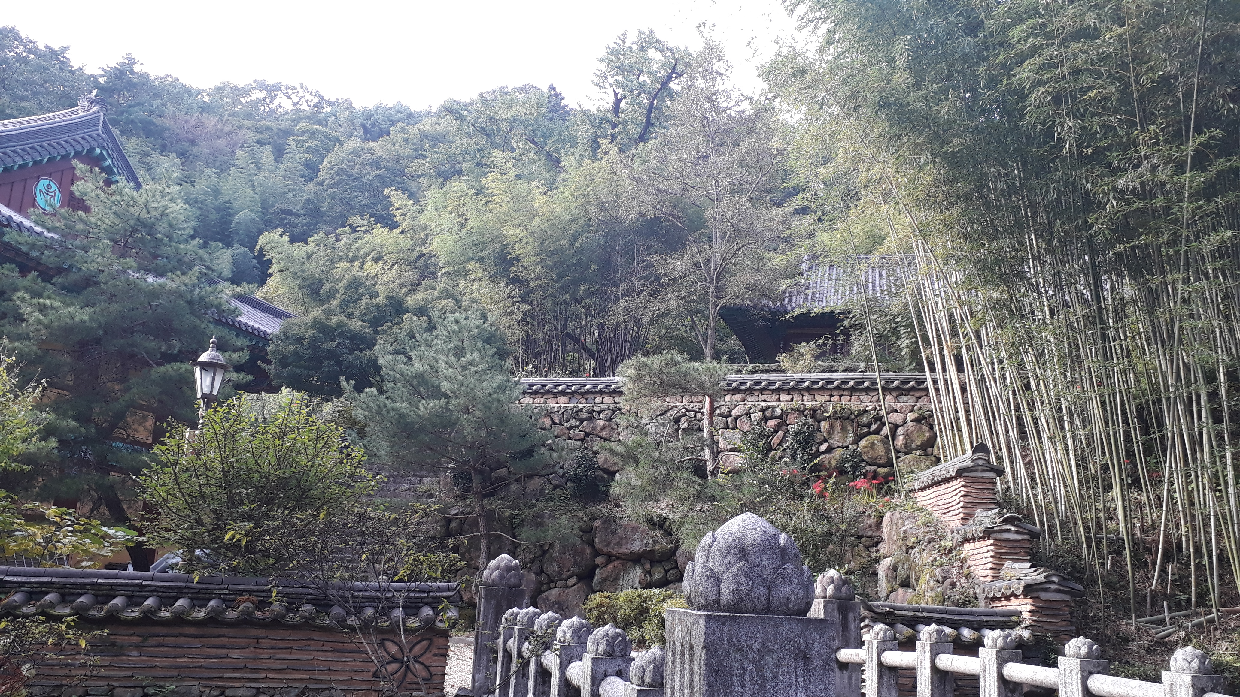 Free download high resolution image - free image free photo free stock image public domain picture -Ssanggyesa Temple, Hadong South Korea