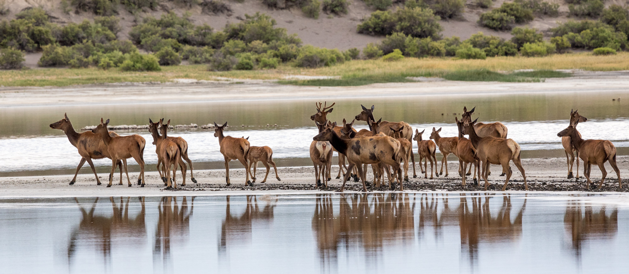 Free download high resolution image - free image free photo free stock image public domain picture -Blanca Wetlands Recreation Area