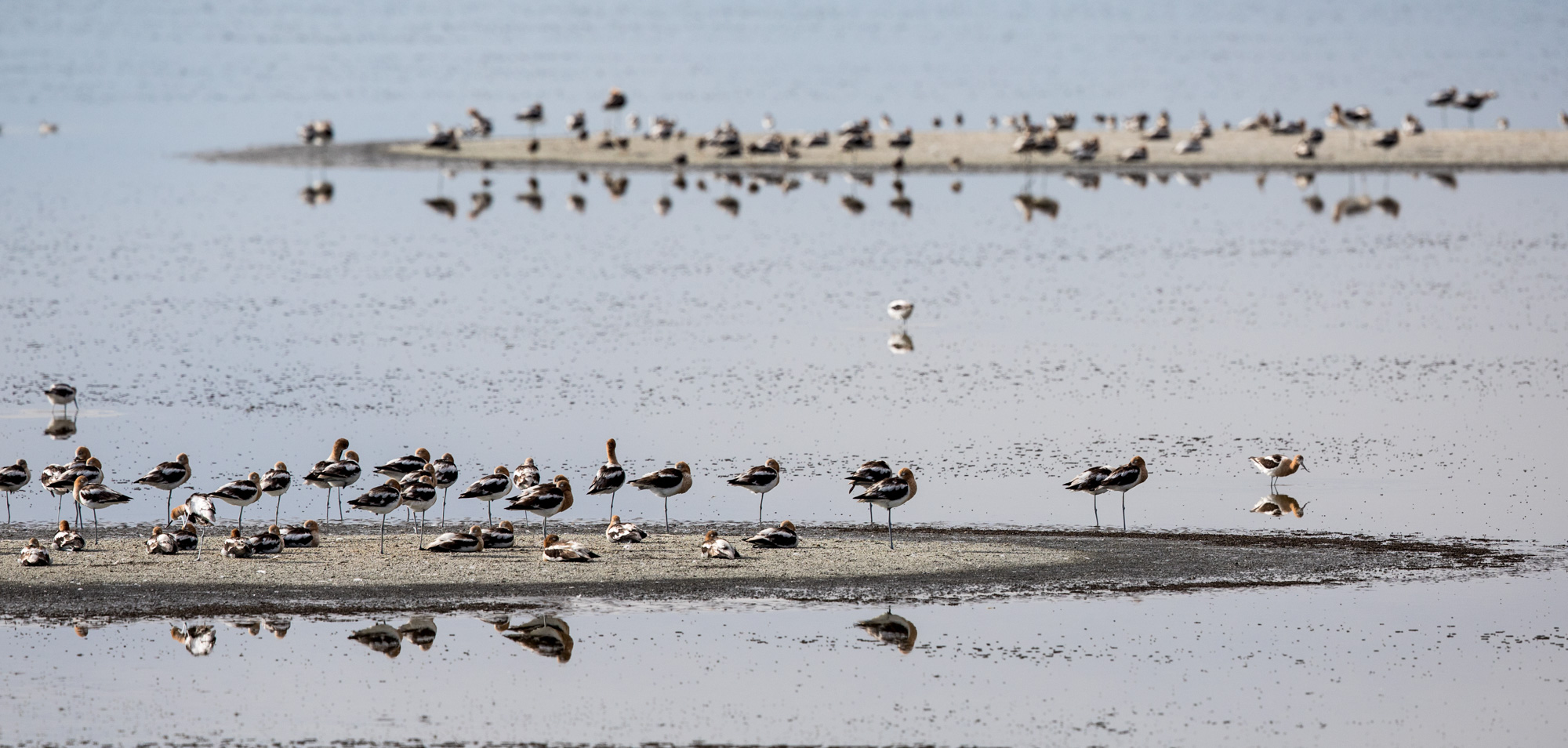 Free download high resolution image - free image free photo free stock image public domain picture -Blanca Wetlands Recreation Area