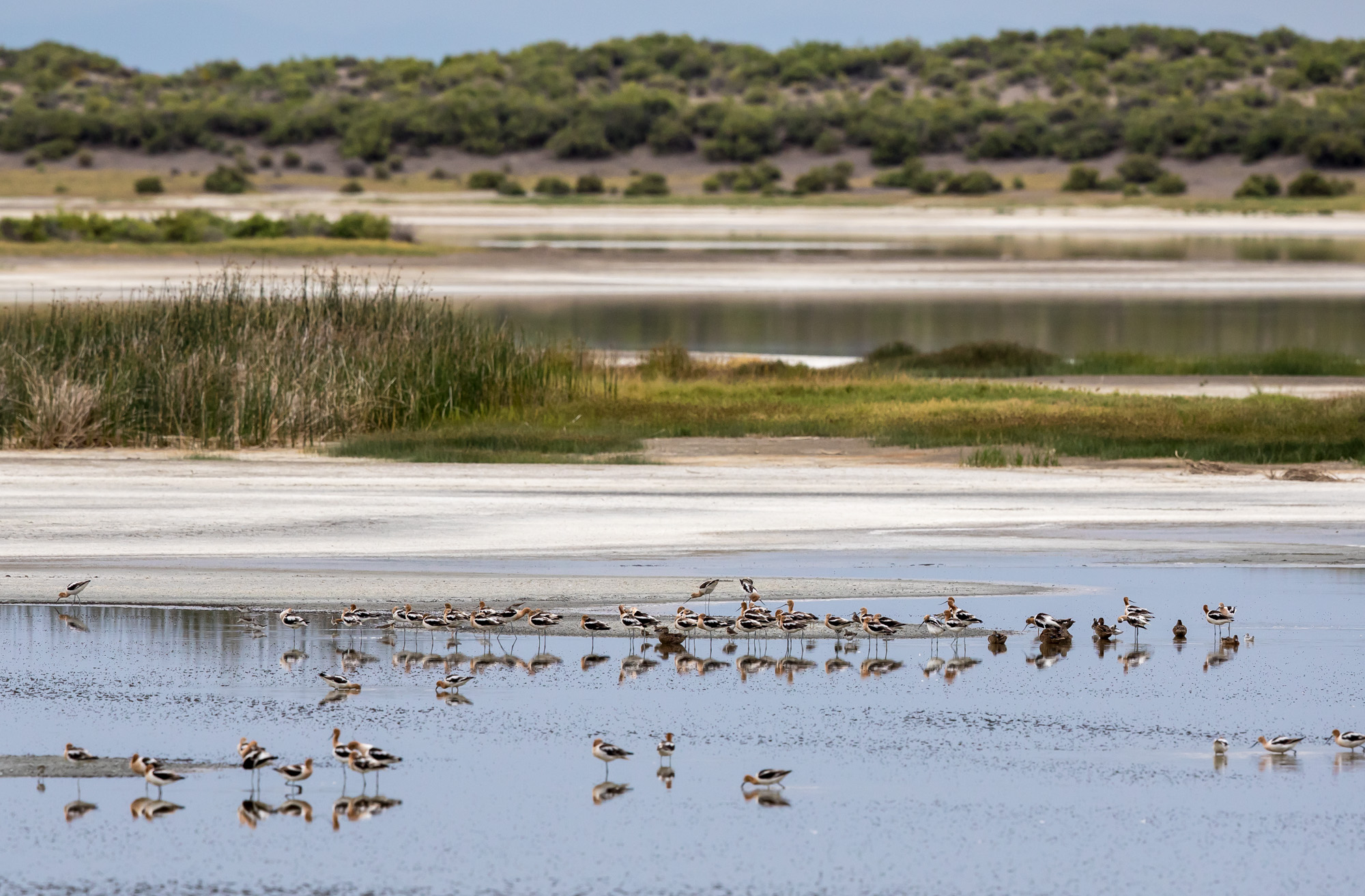 Free download high resolution image - free image free photo free stock image public domain picture -Blanca Wetlands Recreation Area