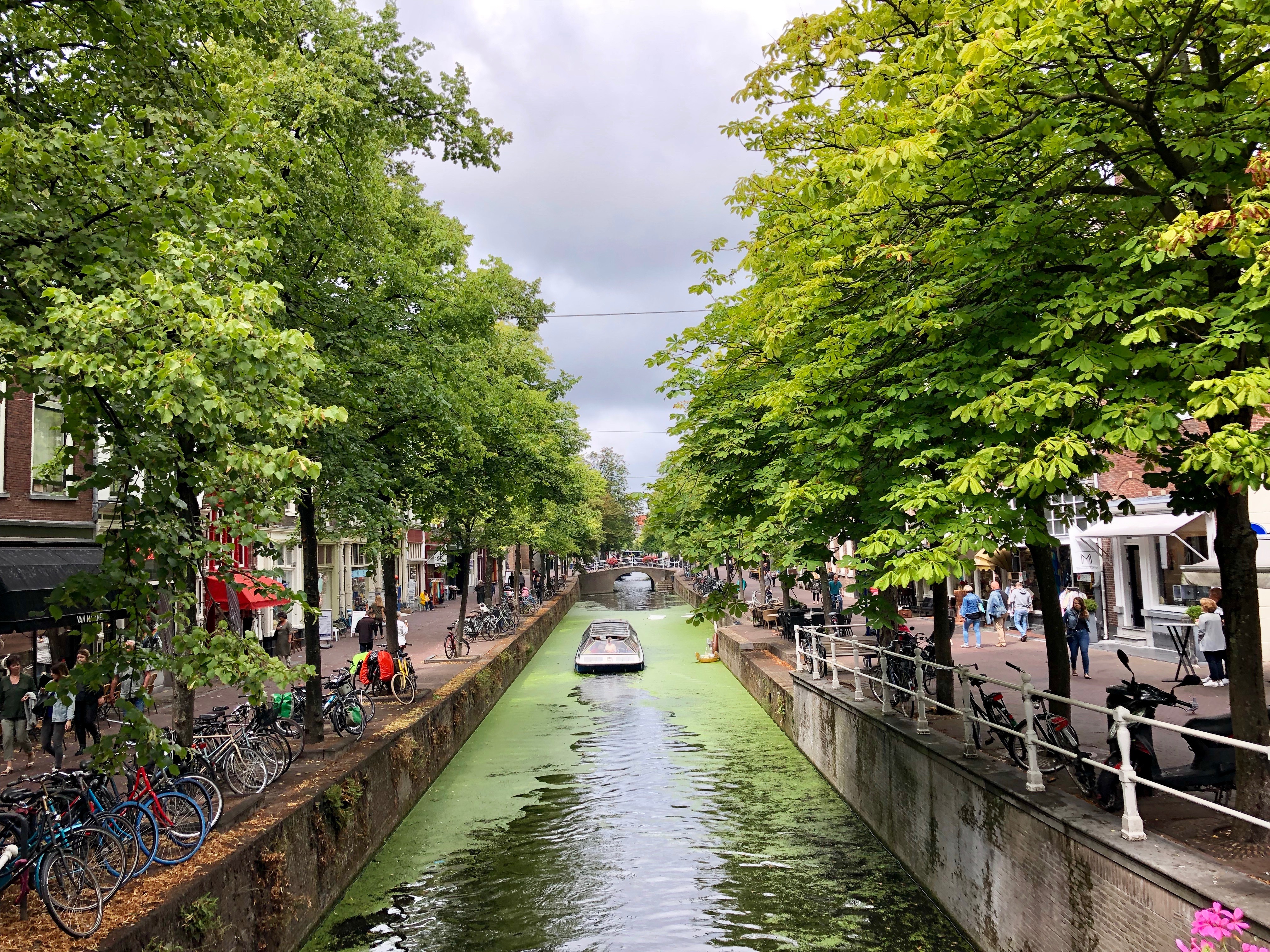 Free download high resolution image - free image free photo free stock image public domain picture -hippolytusbuurt along zuidergracht