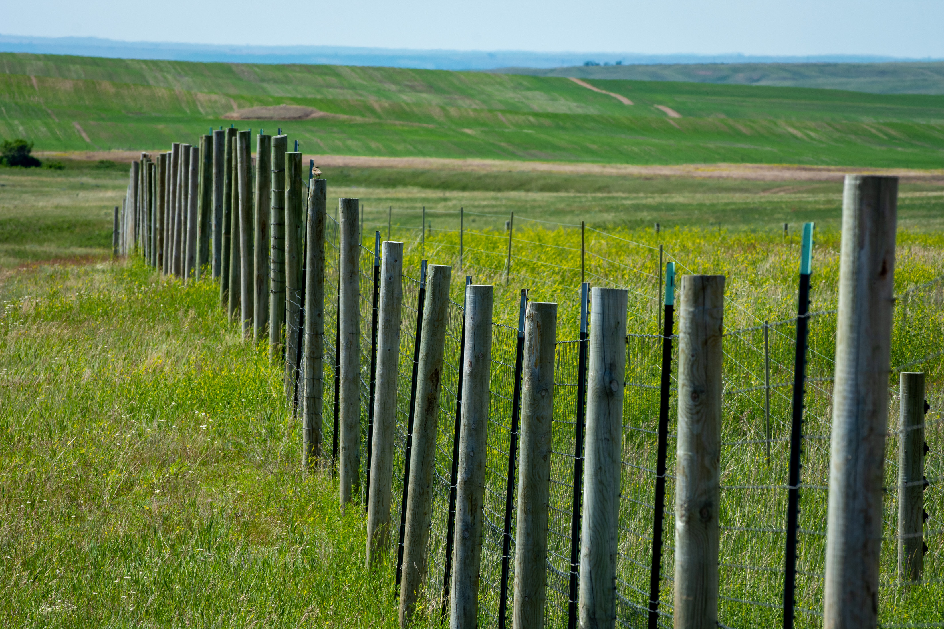 Free download high resolution image - free image free photo free stock image public domain picture -Fence in Fort Peck Reservation