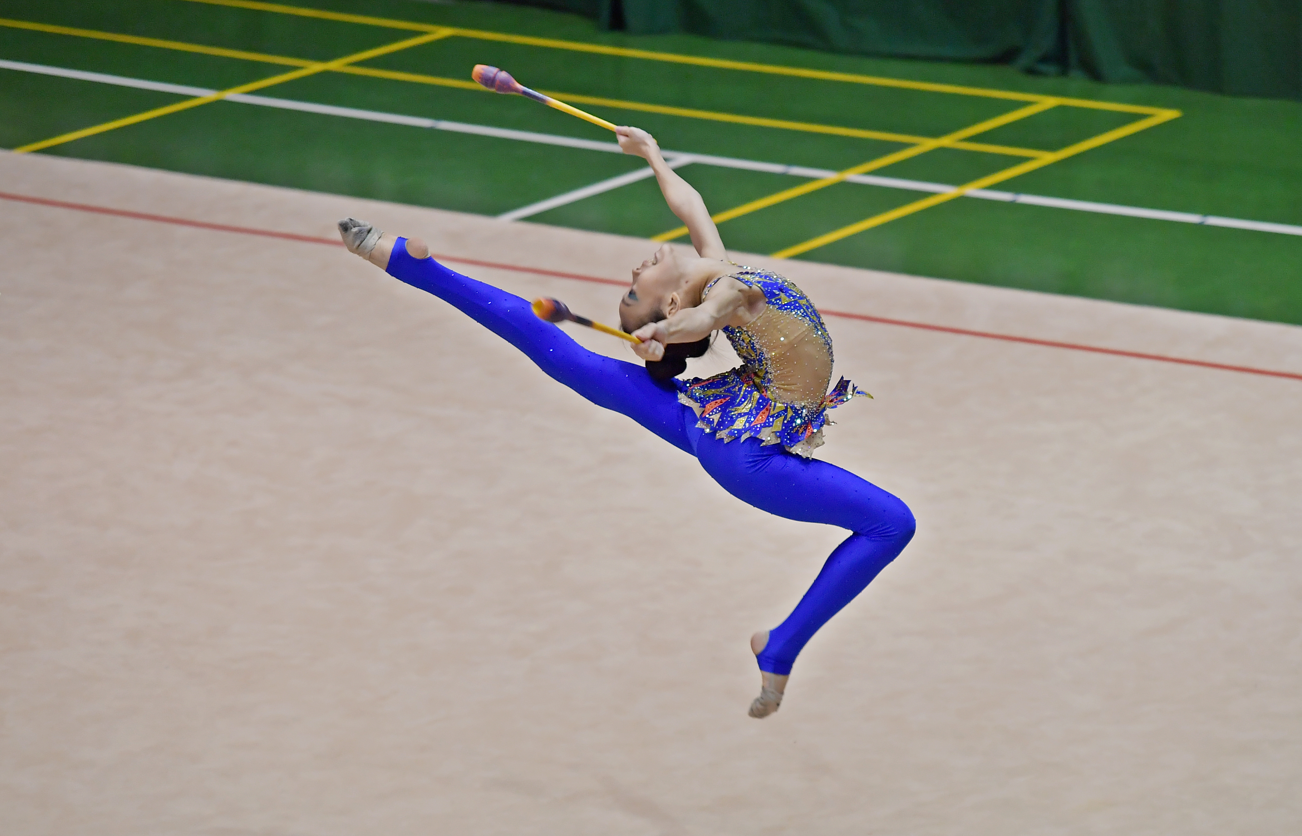 Free download high resolution image - free image free photo free stock image public domain picture -Beautiful rhythmic gymnast in professional arena