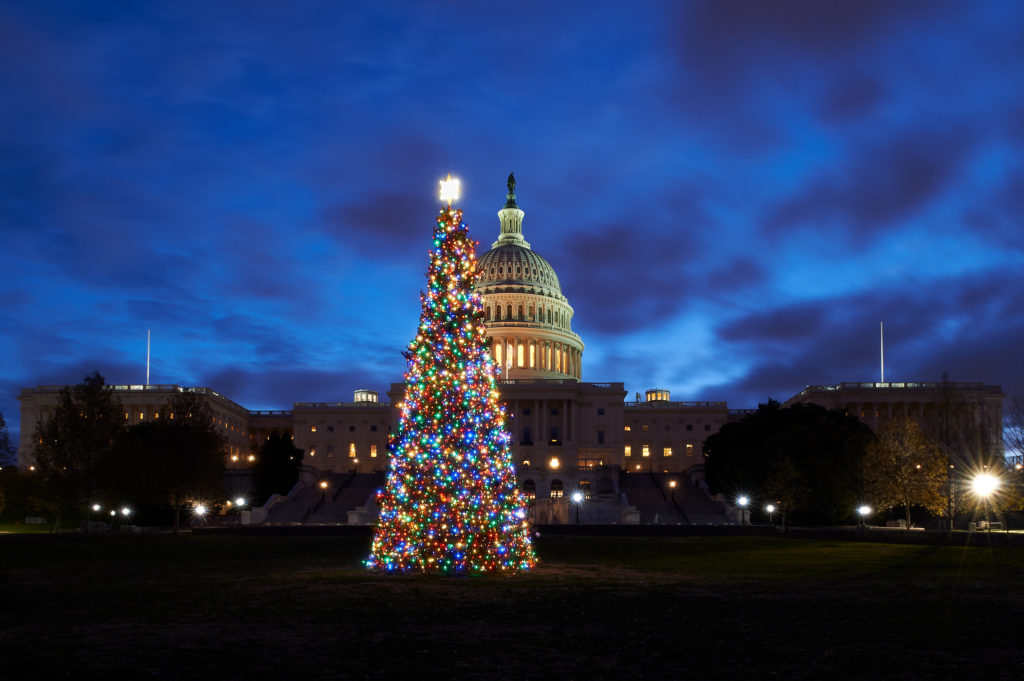 Free download high resolution image - free image free photo free stock image public domain picture -Capitol Christmas Tree with Lights