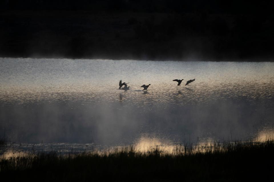 Free download high resolution image - free image free photo free stock image public domain picture  Flock of birds over the lake