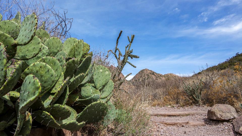 Free download high resolution image - free image free photo free stock image public domain picture  Big Bend National Park