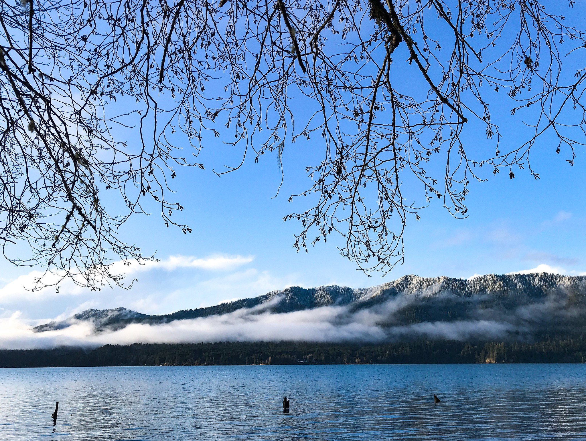 Free download high resolution image - free image free photo free stock image public domain picture -Lake Quinault