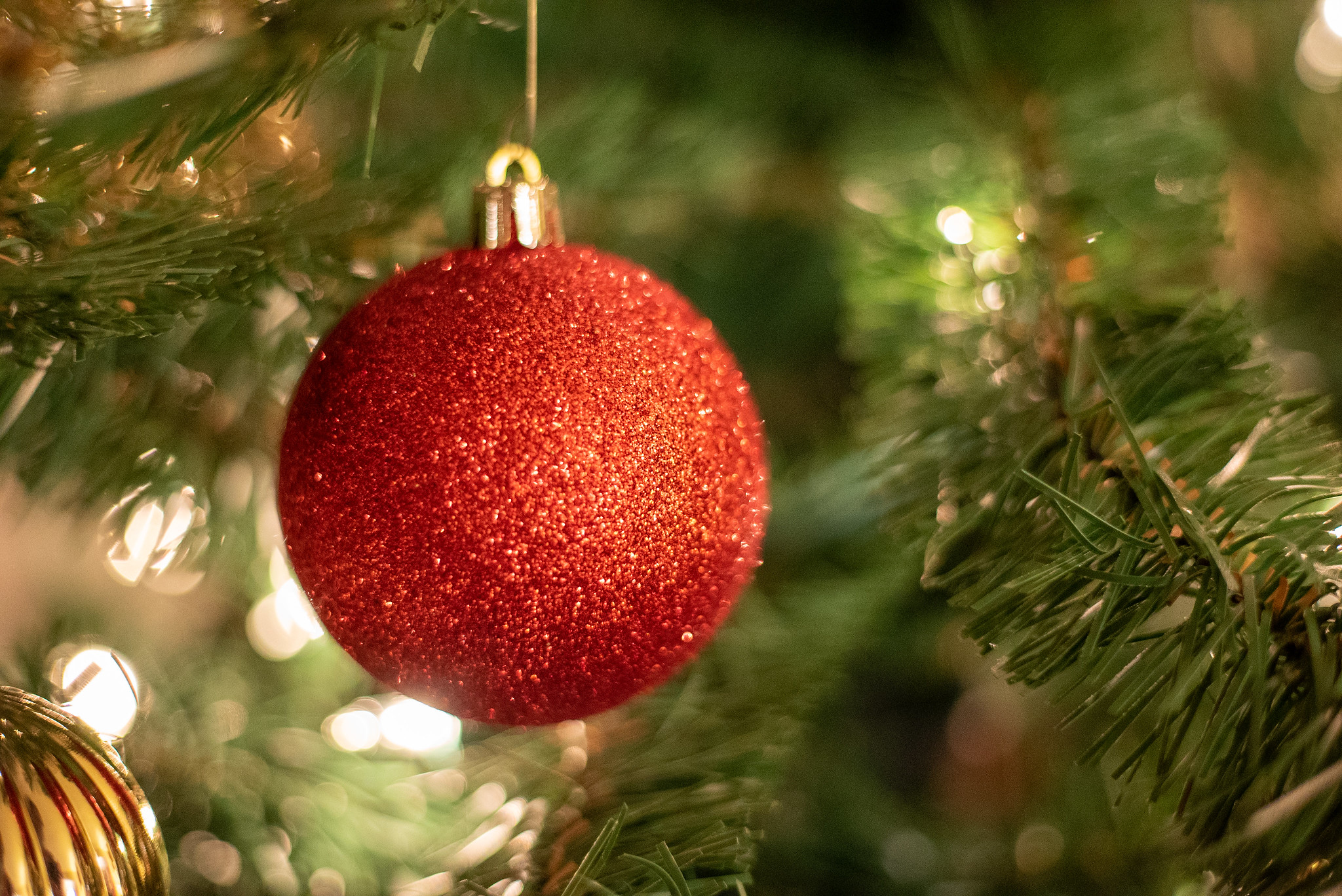 Free download high resolution image - free image free photo free stock image public domain picture -Christmas Ornament