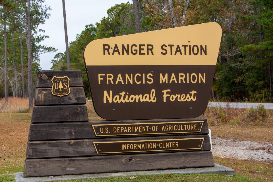 Free download high resolution image - free image free photo free stock image public domain picture  Francis Marion National Forest