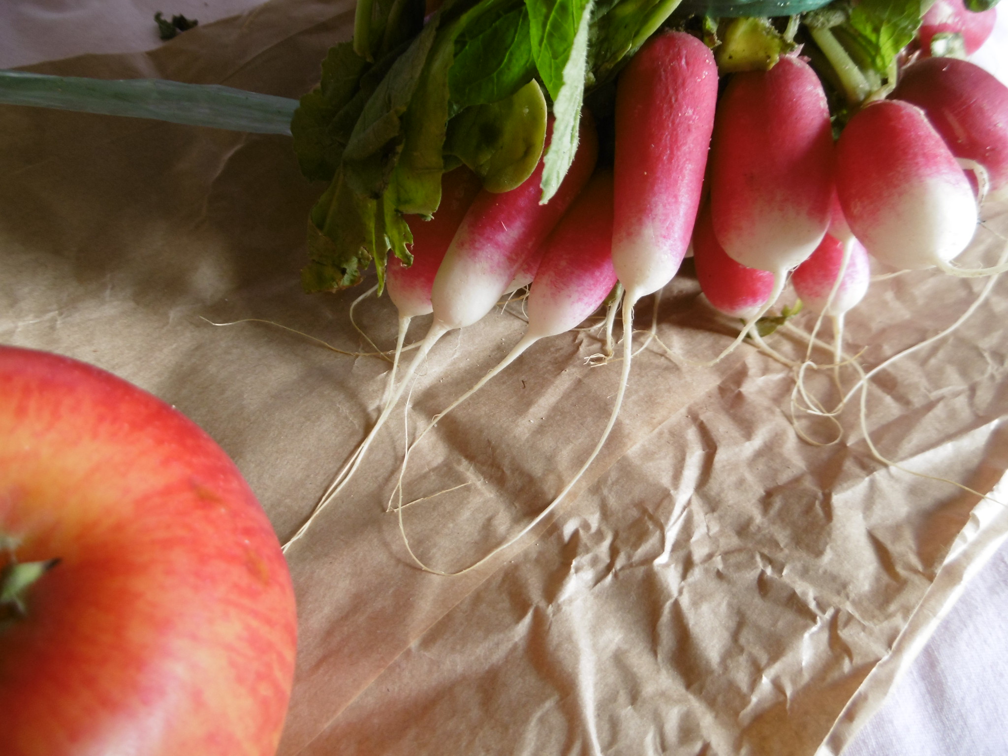 Free download high resolution image - free image free photo free stock image public domain picture -Radish