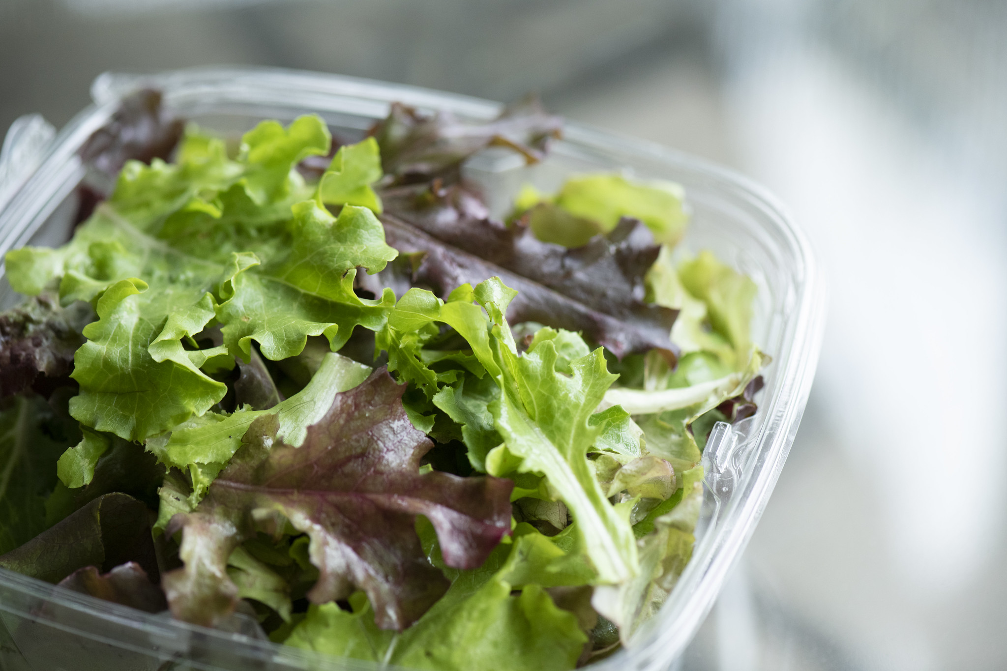 Free download high resolution image - free image free photo free stock image public domain picture -Mixed leafy greens growing at Green Farm