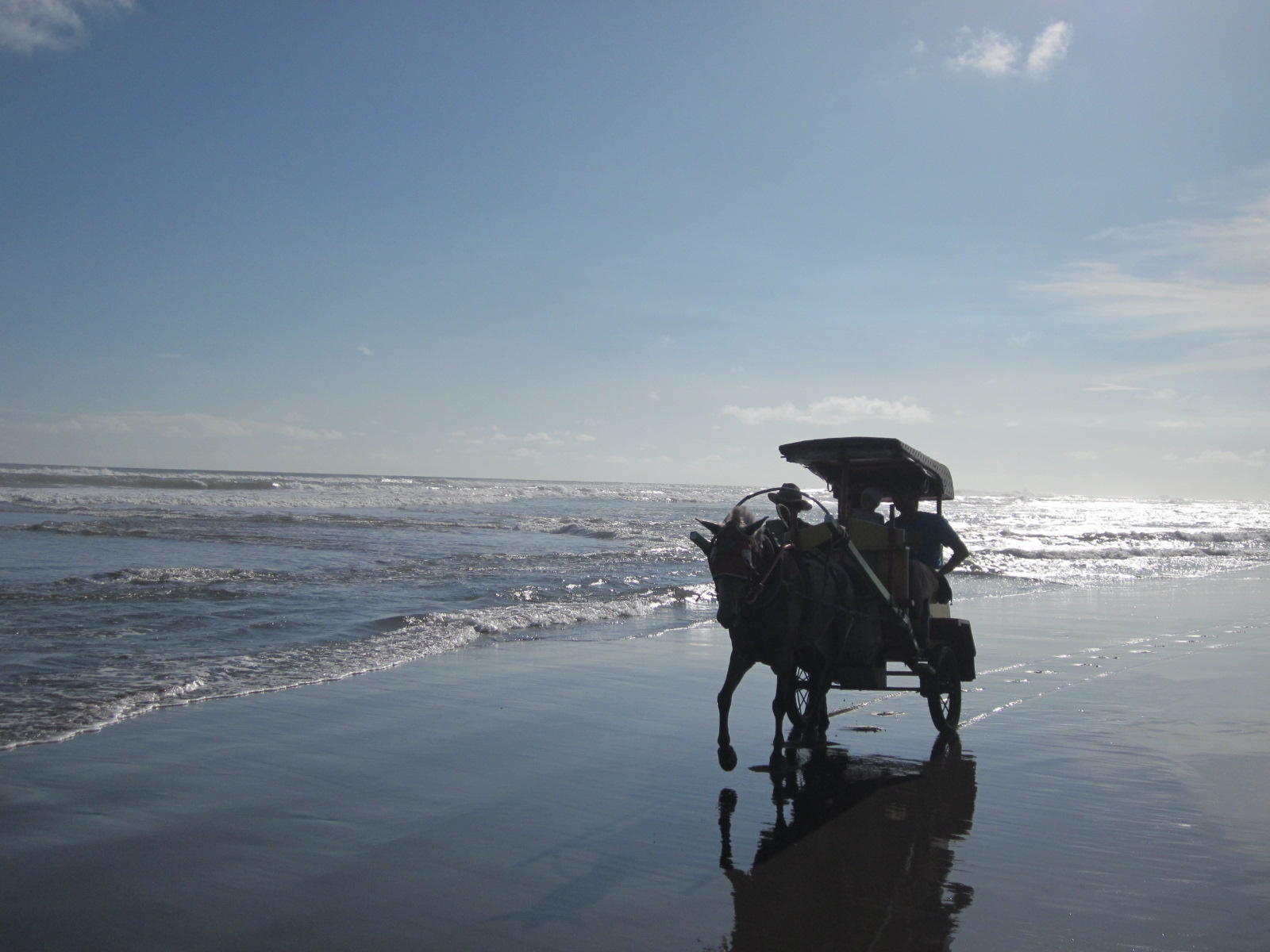 Free download high resolution image - free image free photo free stock image public domain picture -Horse-drawn Carriage