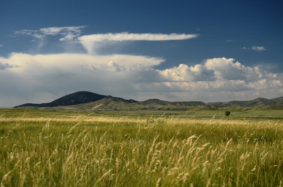 Free download high resolution image - free image free photo free stock image public domain picture  npnht bear paw battlefield near chinook