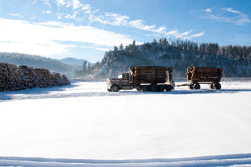 Free download high resolution image - free image free photo free stock image public domain picture  Log Truck