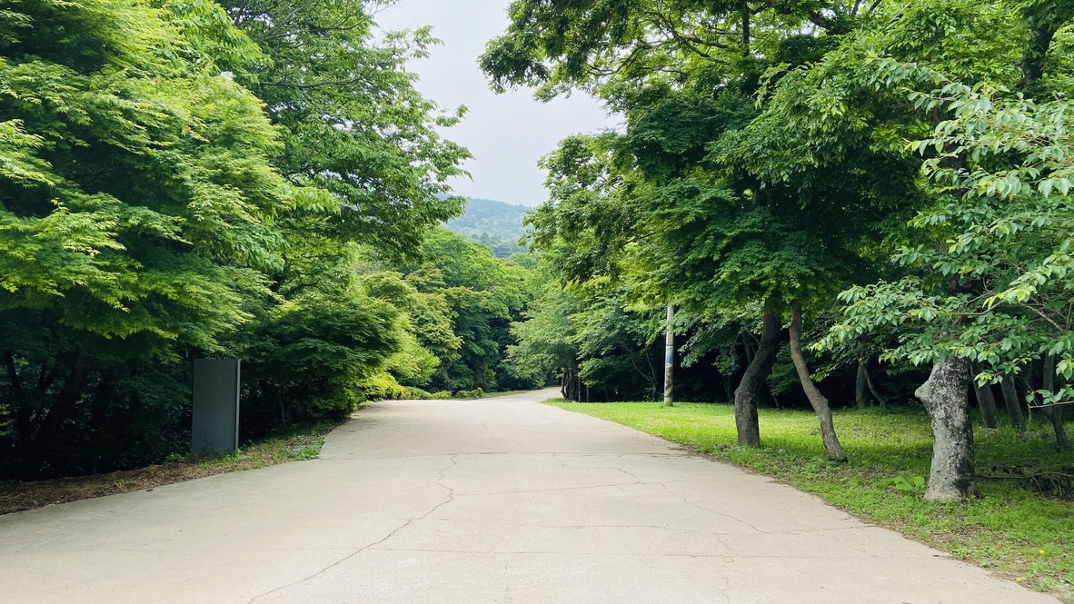 Free download high resolution image - free image free photo free stock image public domain picture -UNESCO World Heritage Site Daeheungsa in Haenam County, Korea