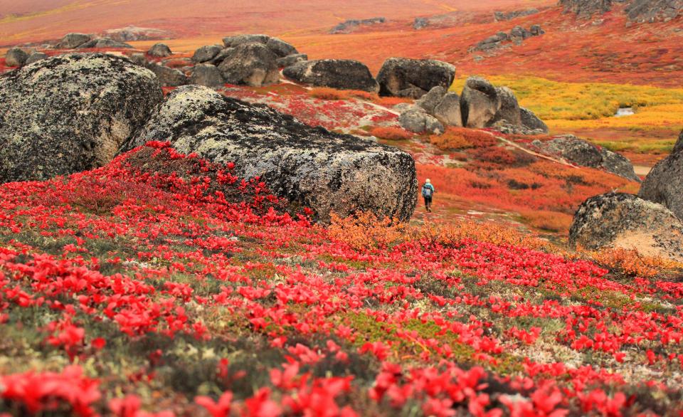 Free download high resolution image - free image free photo free stock image public domain picture  Bering Land Bridge National Preserve in Alaska