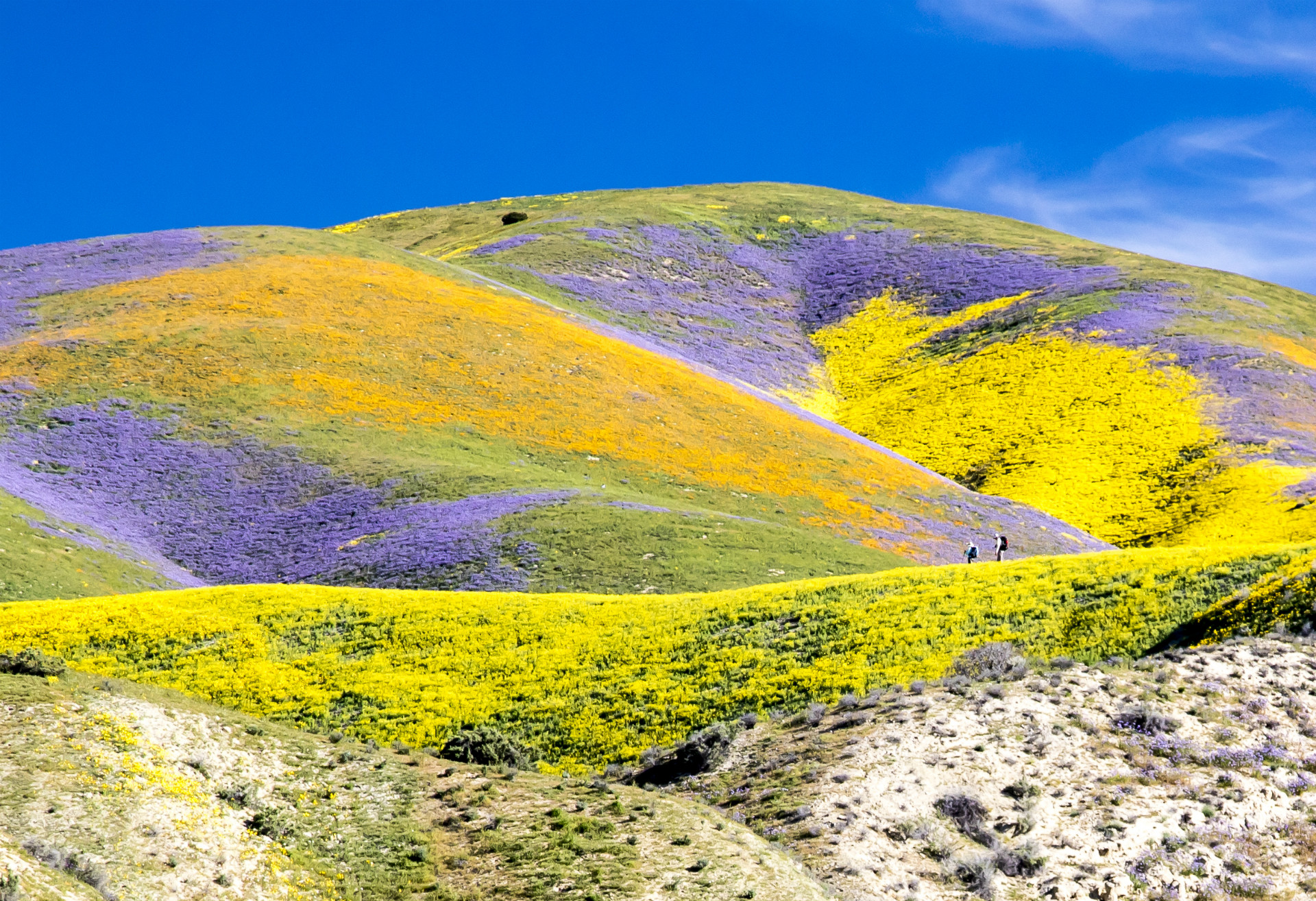 Free download high resolution image - free image free photo free stock image public domain picture -Carrizo Plain National Monument