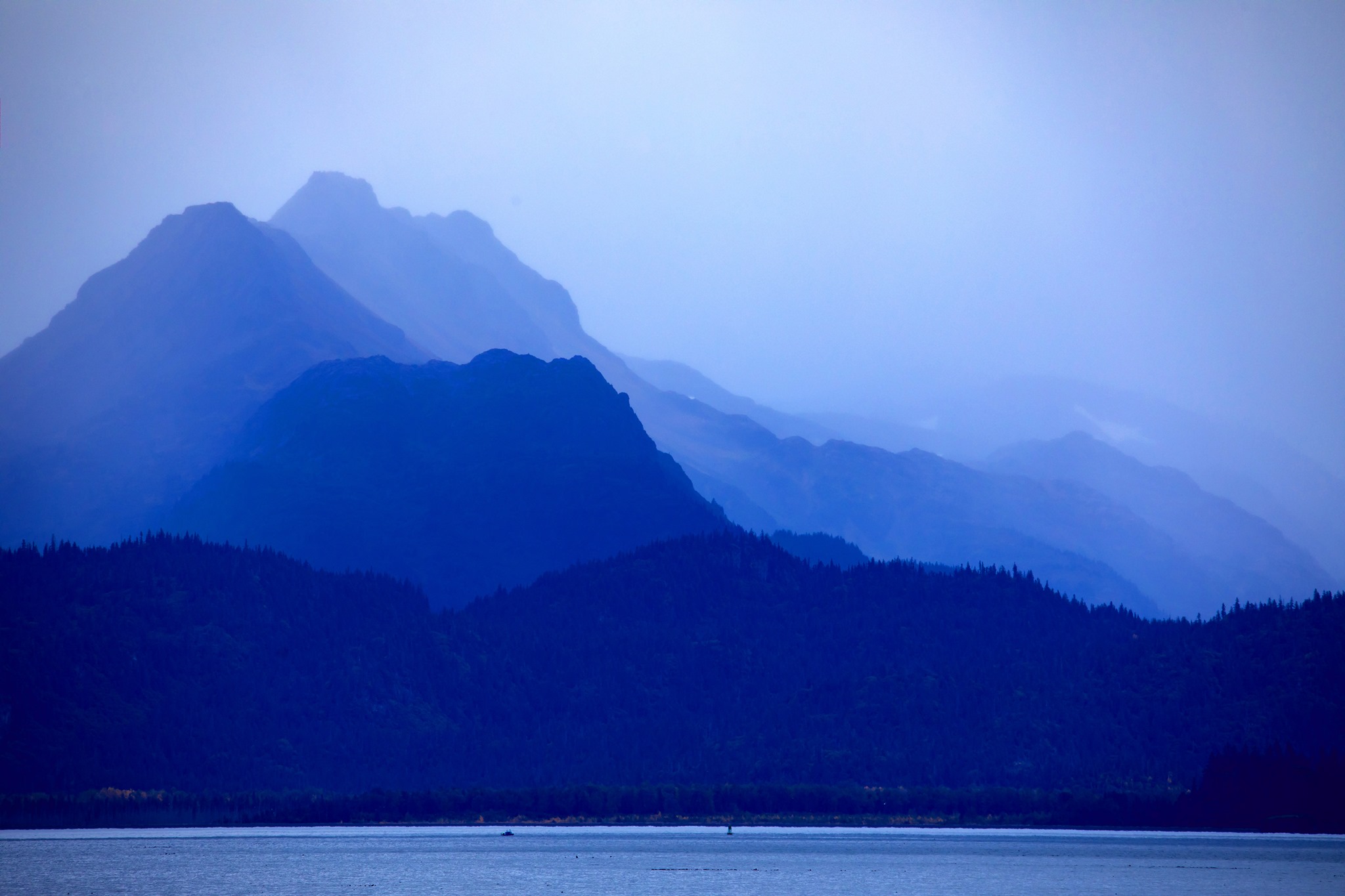 Free download high resolution image - free image free photo free stock image public domain picture -Alaska Maritime National Wildlife Refuge