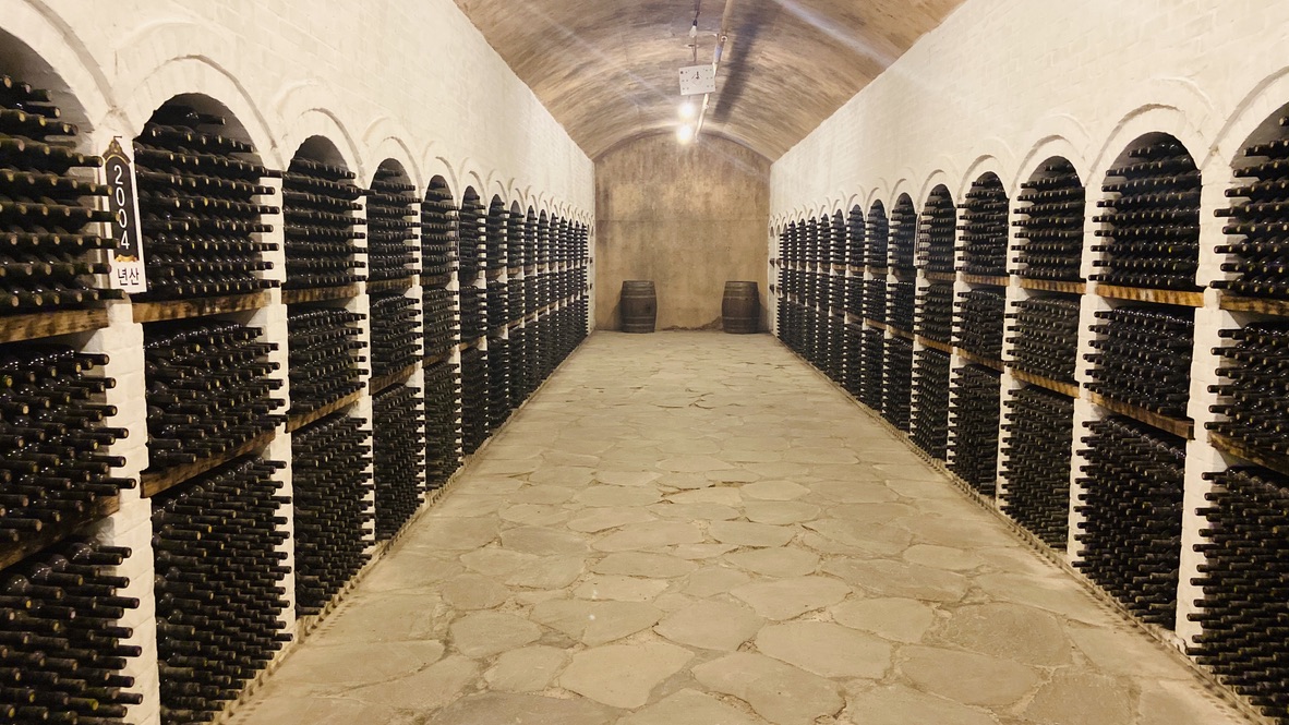 Free download high resolution image - free image free photo free stock image public domain picture -Shelving with wine bottles in winery shop