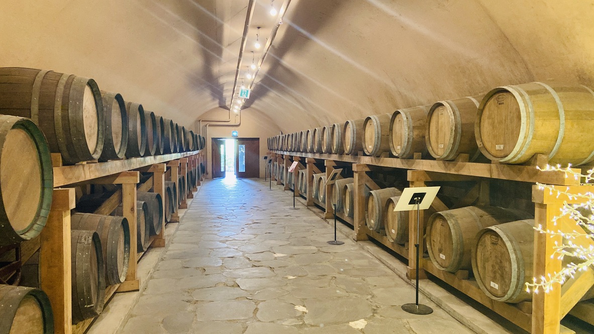 Free download high resolution image - free image free photo free stock image public domain picture -Stacked Wine barrels at the Hamyang winery