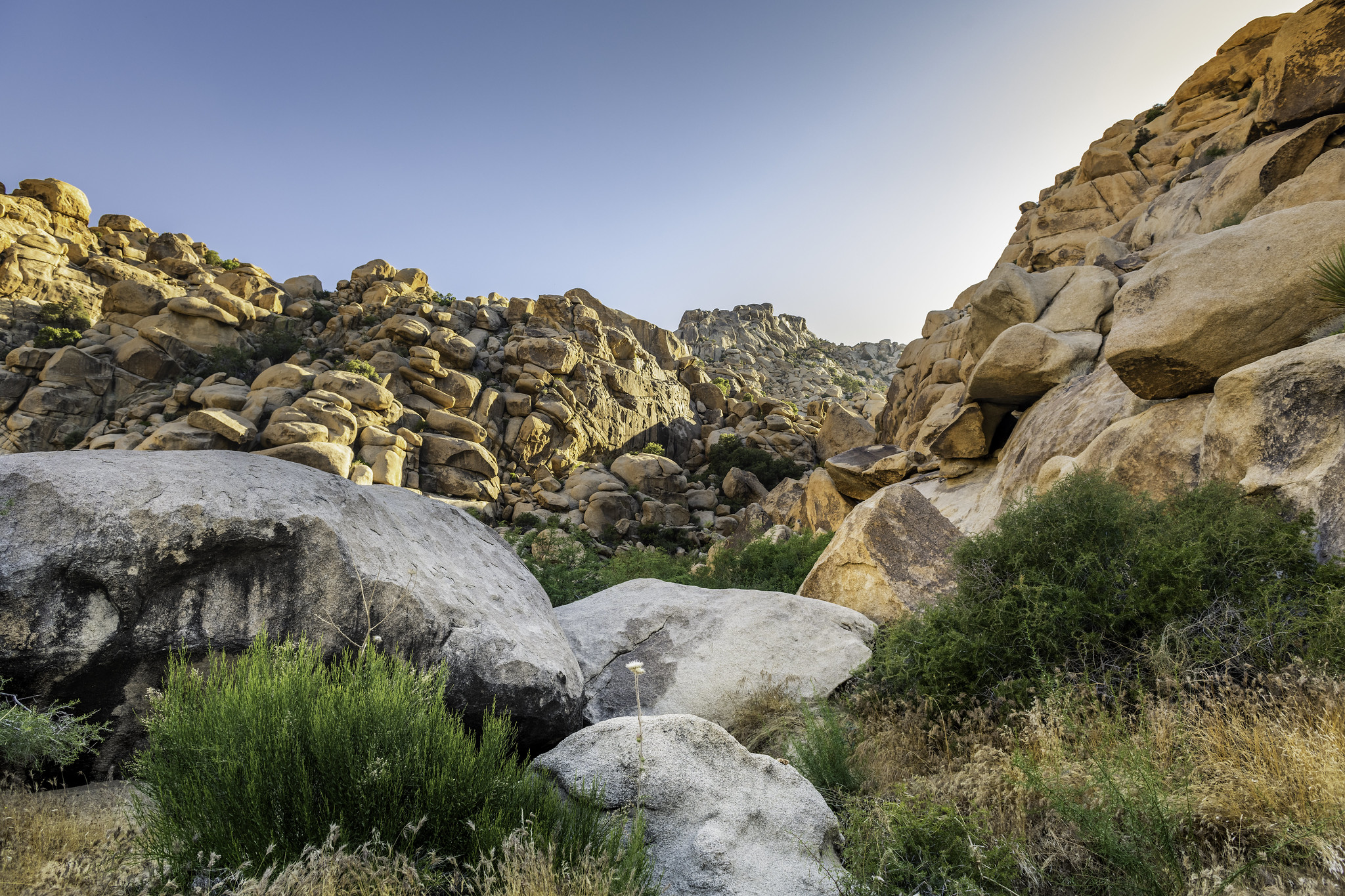 Free download high resolution image - free image free photo free stock image public domain picture -Rattlesnake Canyon near sunset