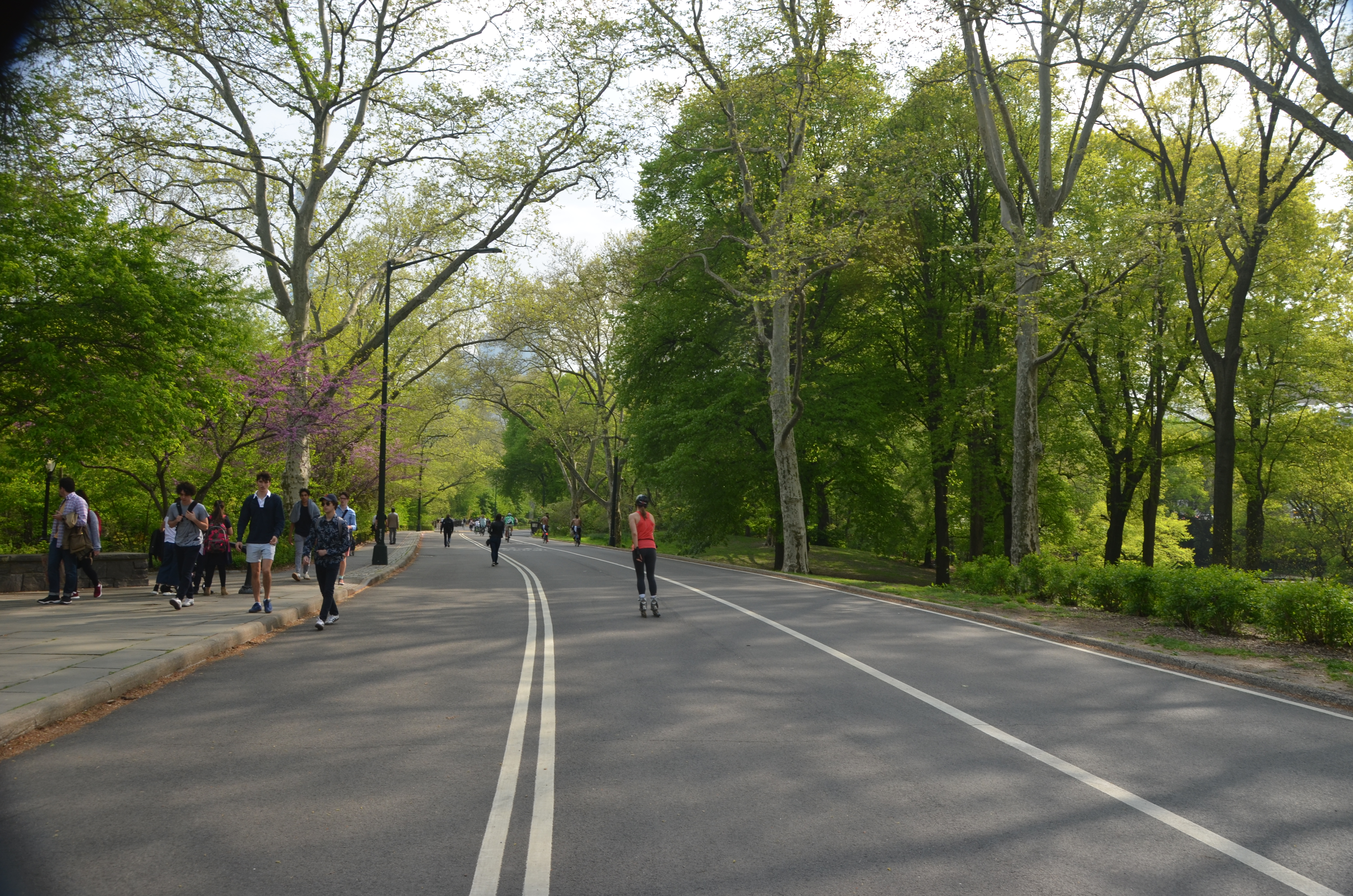 Free download high resolution image - free image free photo free stock image public domain picture -Central Park, New York City