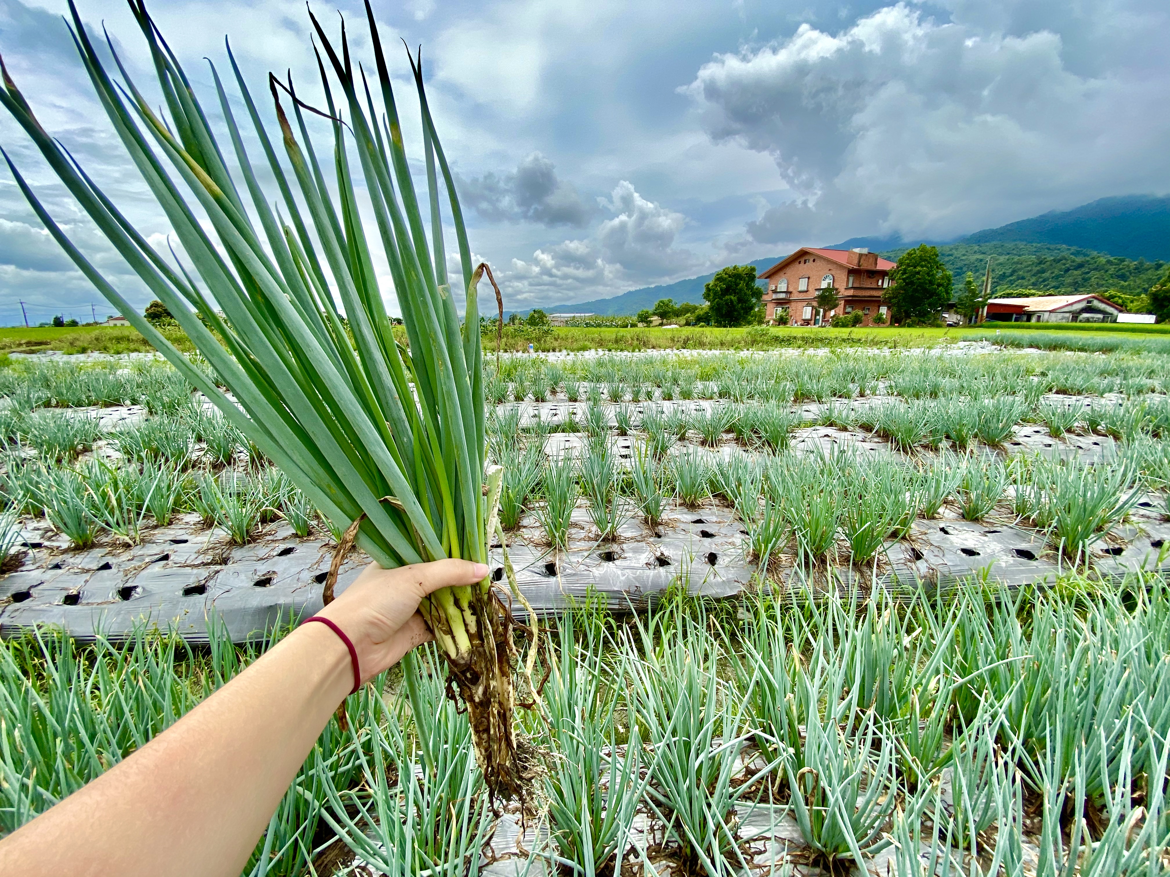 Free download high resolution image - free image free photo free stock image public domain picture -Sanxing Township, Yilan County, Taiwan