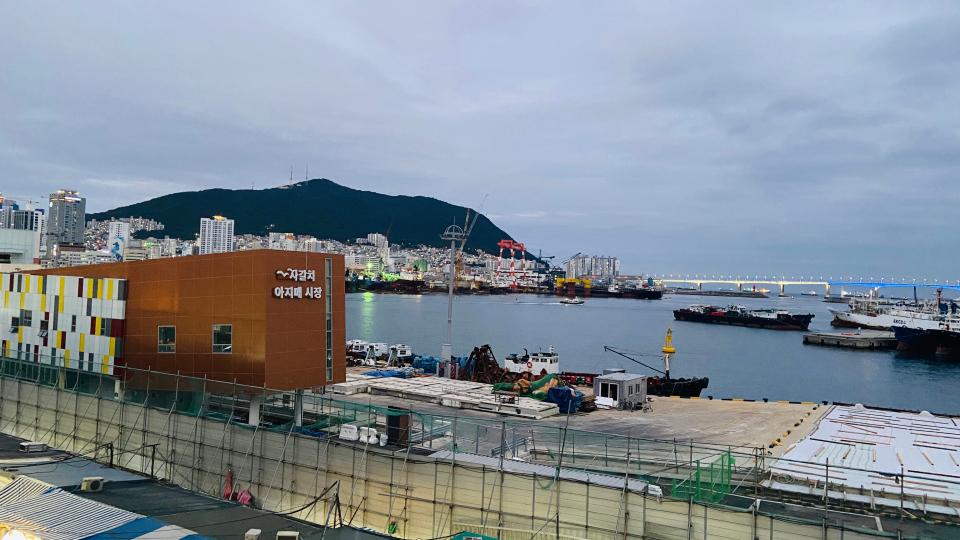 Free download high resolution image - free image free photo free stock image public domain picture  Jagalchi Market in Pusan South Korea