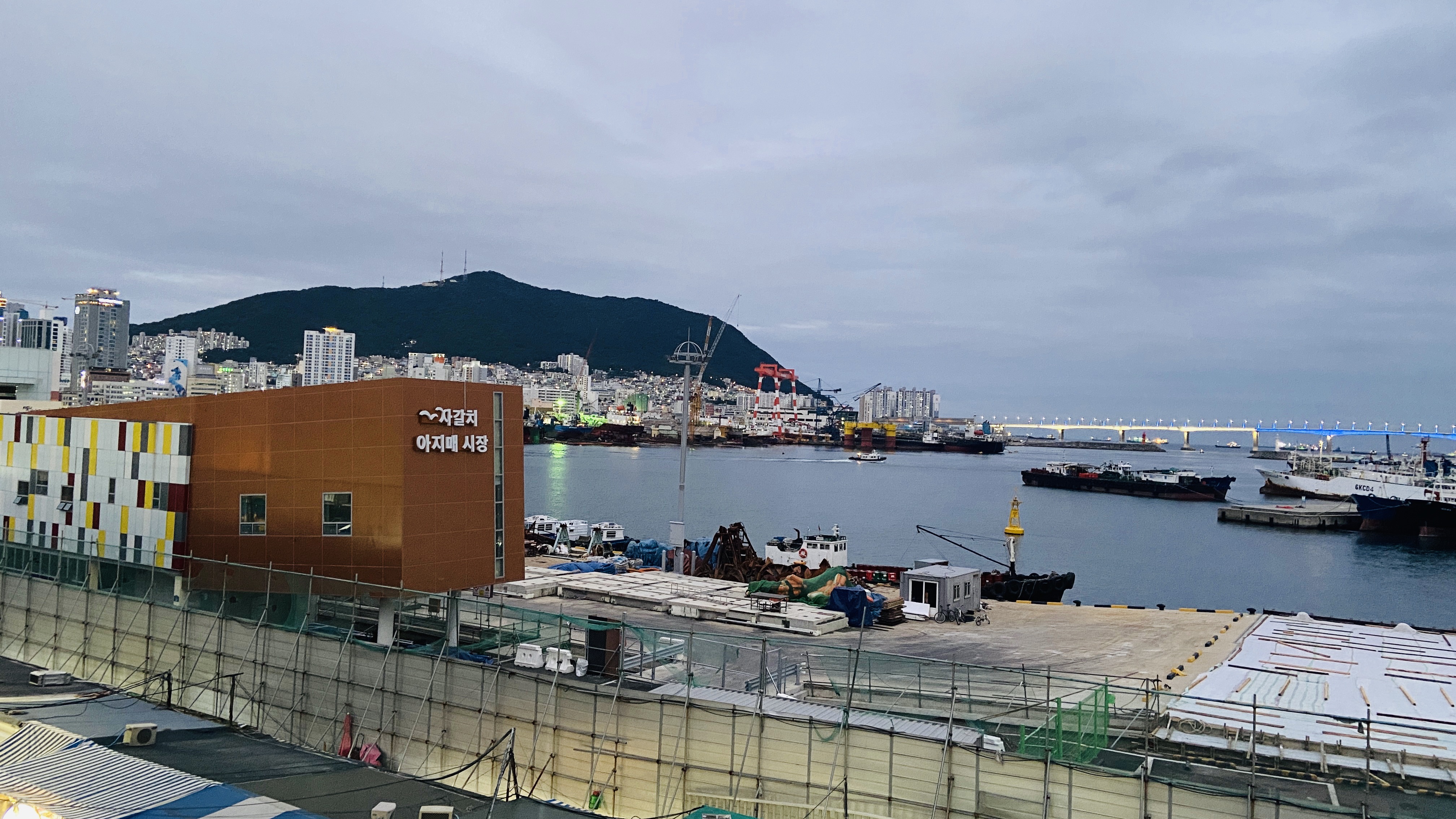 Free download high resolution image - free image free photo free stock image public domain picture -Jagalchi Market in Pusan South Korea