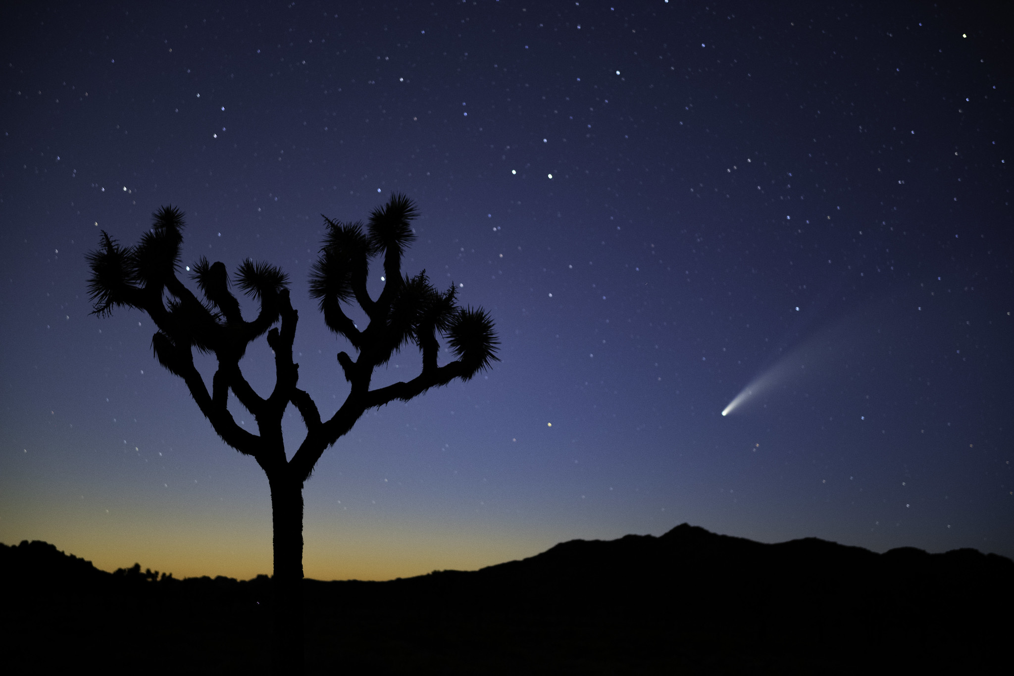 Free download high resolution image - free image free photo free stock image public domain picture -Comet NEOWISE over Queen Valley