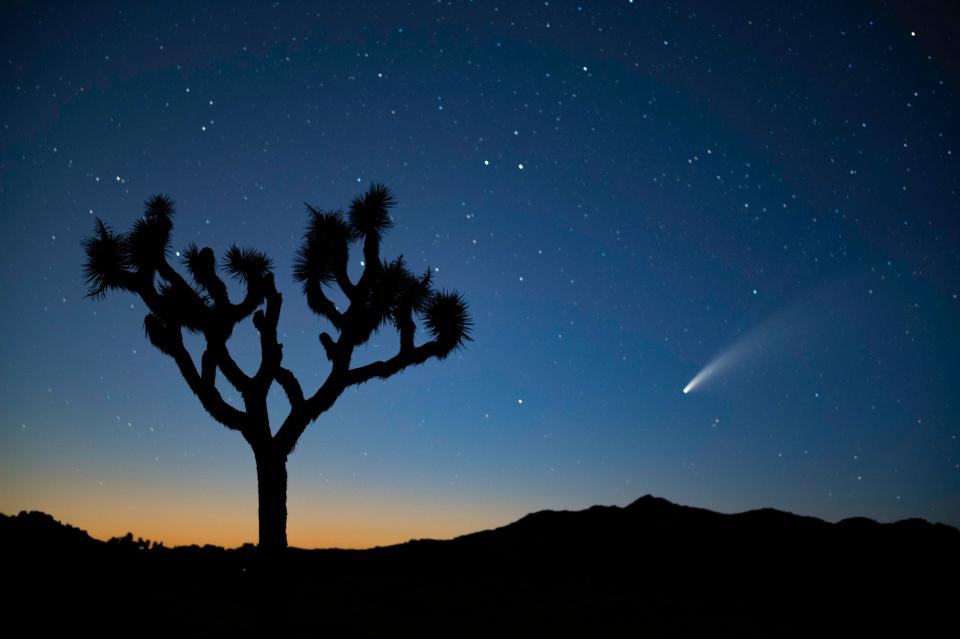 Free download high resolution image - free image free photo free stock image public domain picture  Comet NEOWISE over Queen Valley