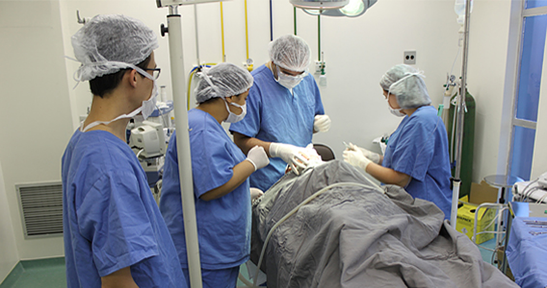 Free download high resolution image - free image free photo free stock image public domain picture -Team surgeon at work on operating in hospital