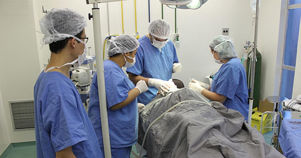 Free download high resolution image - free image free photo free stock image public domain picture  Team surgeon at work on operating in hospital