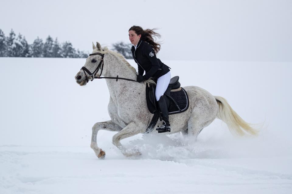 Free download high resolution image - free image free photo free stock image public domain picture  Young woman riding Latvian horse breed