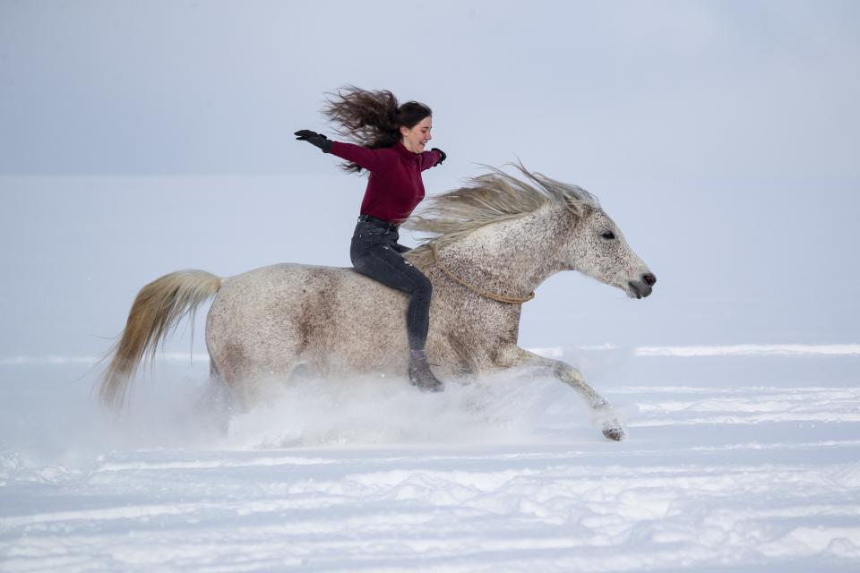 Free download high resolution image - free image free photo free stock image public domain picture  Young woman riding Latvian horse breed