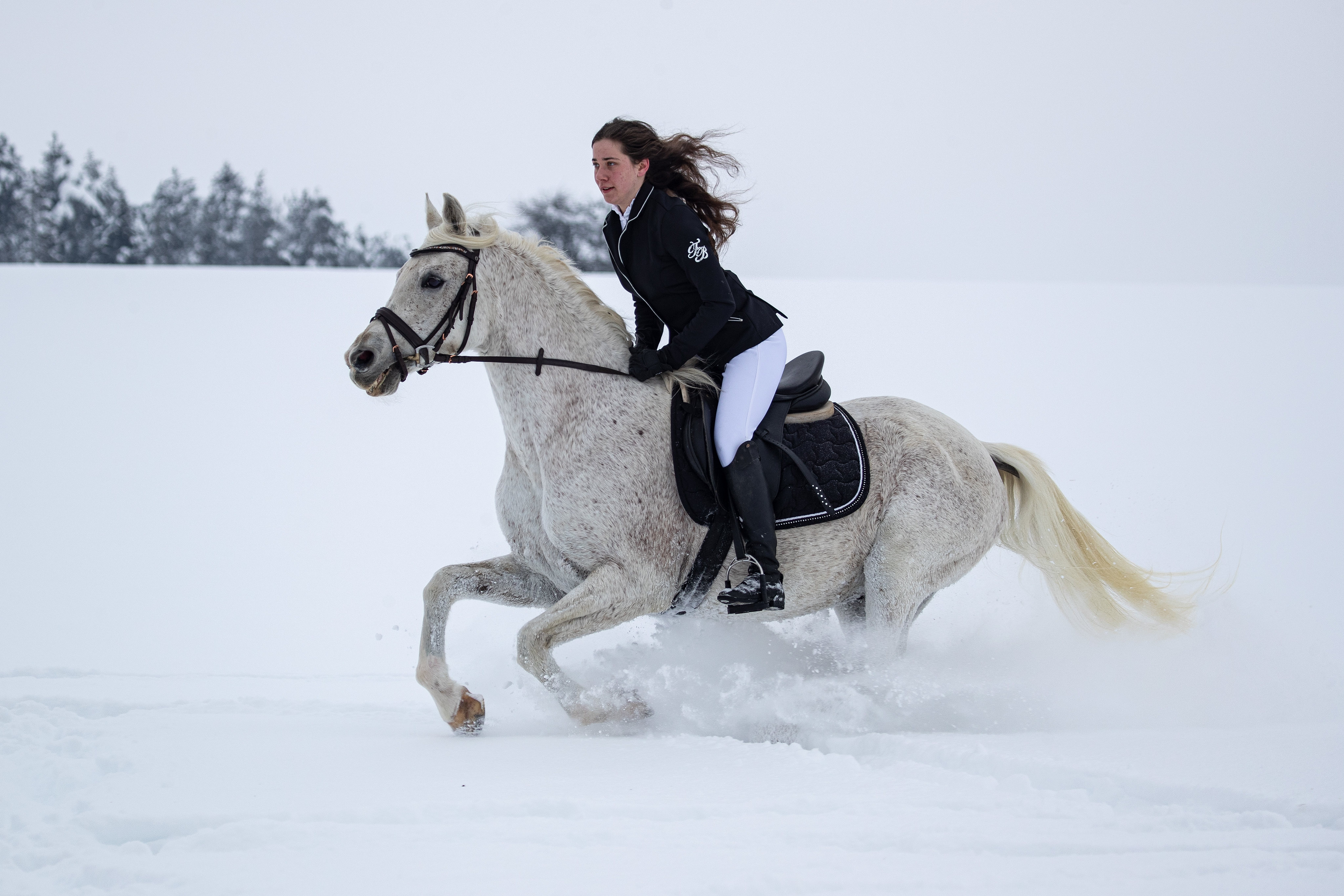 Free download high resolution image - free image free photo free stock image public domain picture -Young woman riding Latvian horse breed